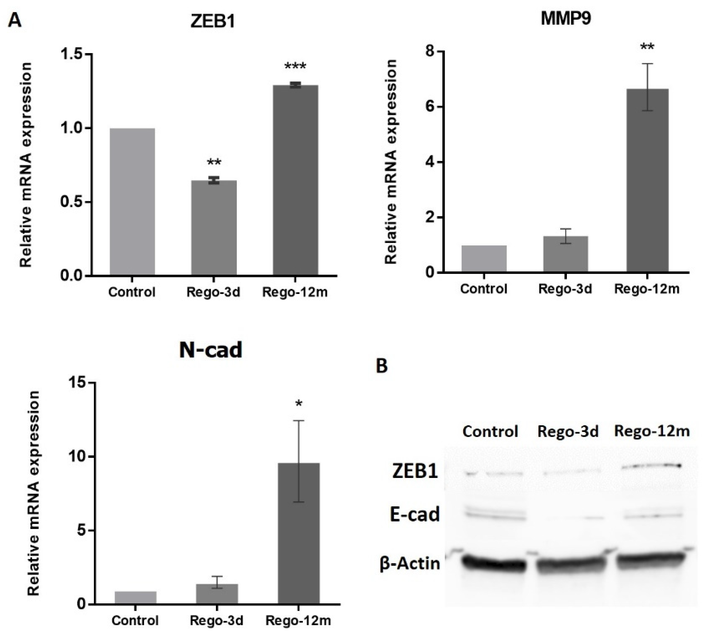 Cells 11 03663 g009 Cells 11 03663 g009