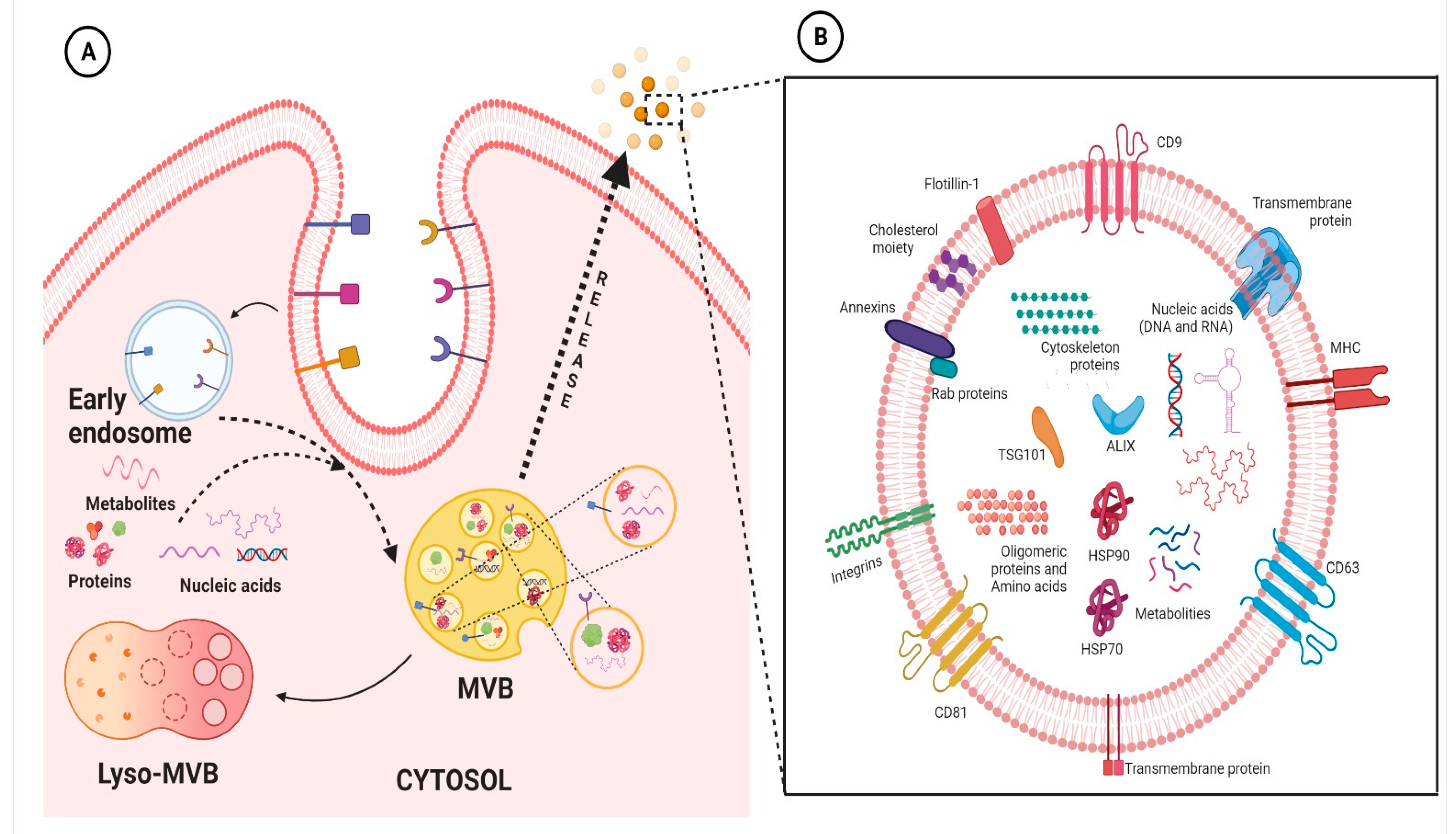 Cells 11 03664 g001 Cells 11 03664 g001