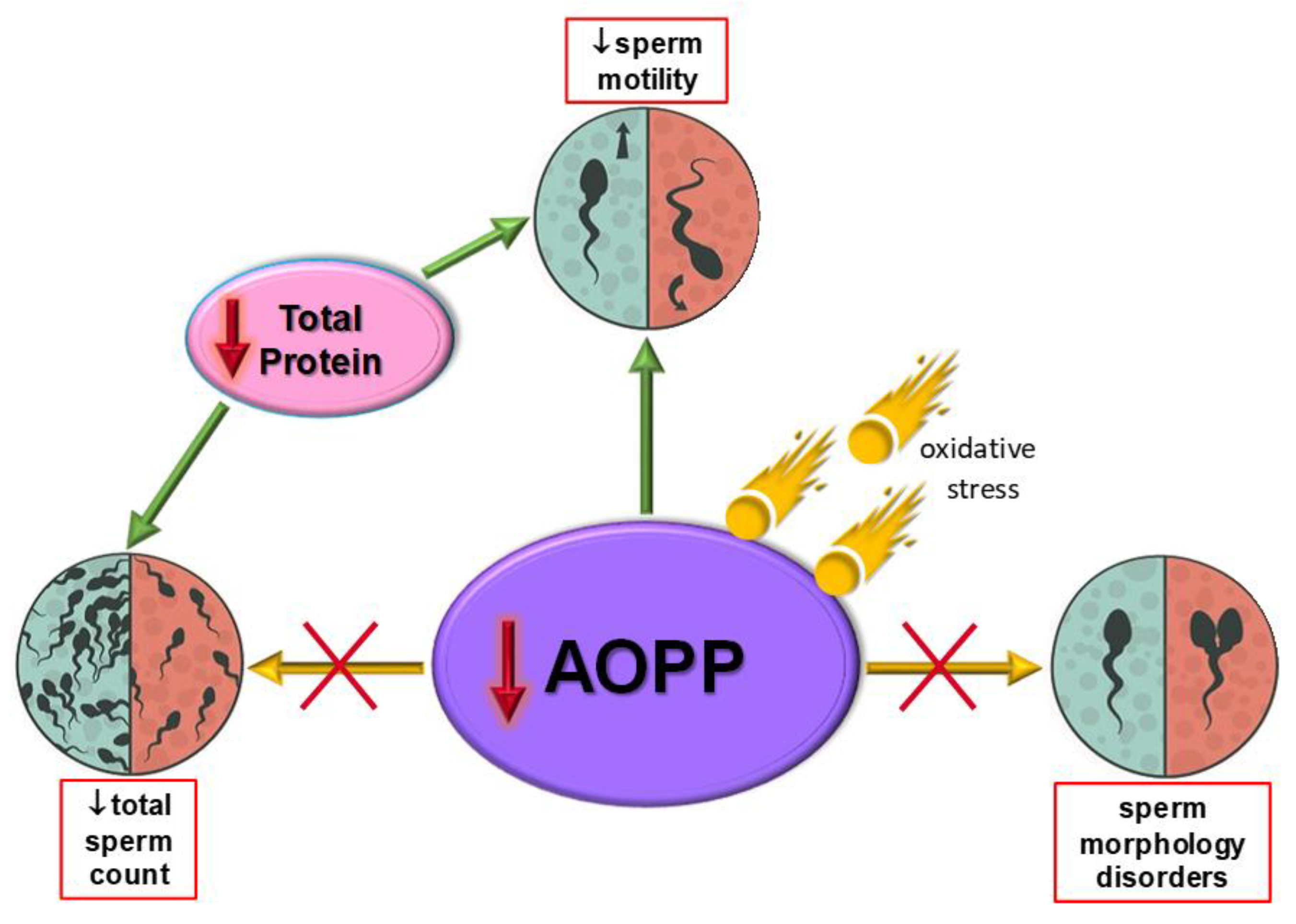 Cells 11 03667 g004 Cells 11 03667 g004