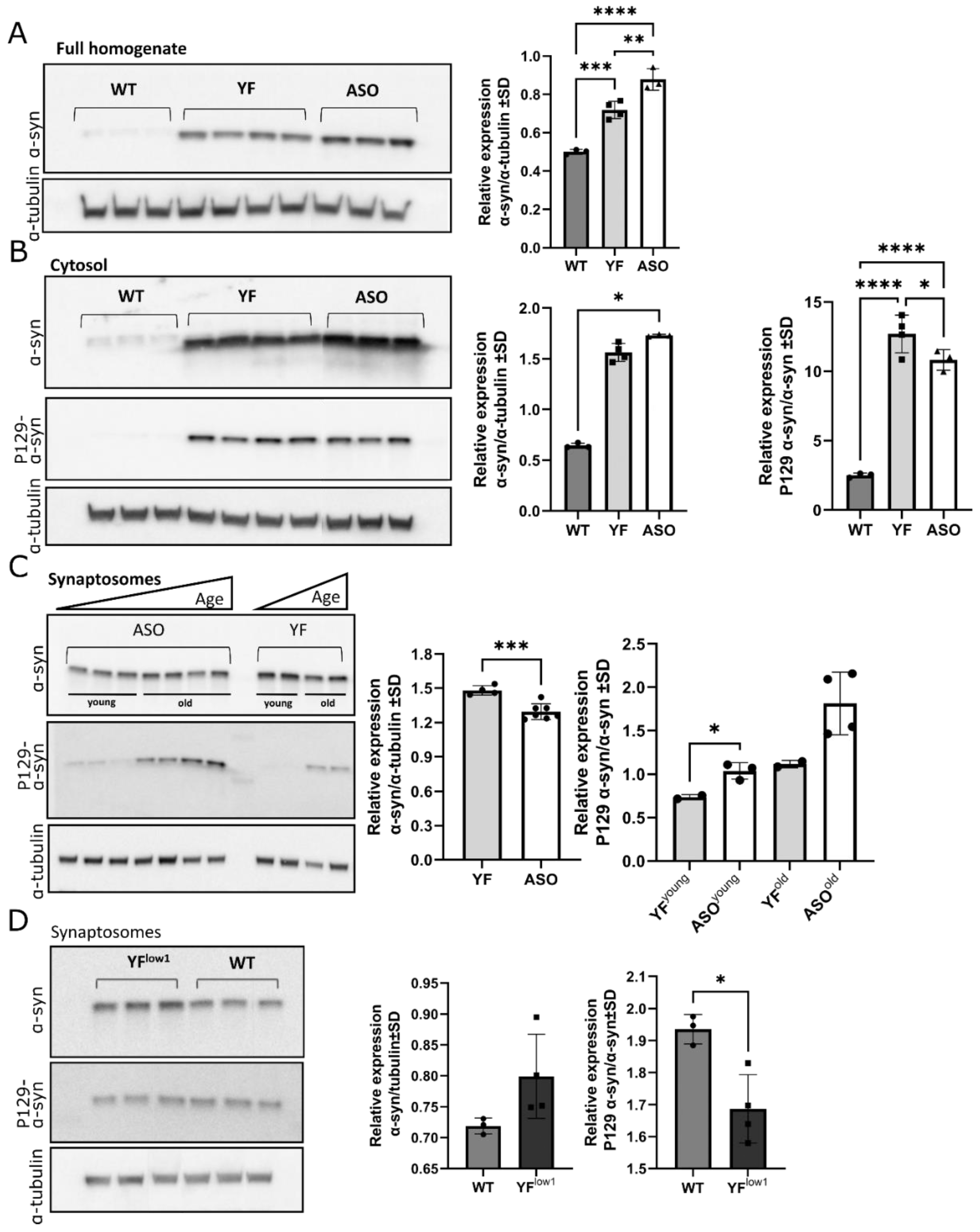 Cells 11 03673 g003 Cells 11 03673 g003