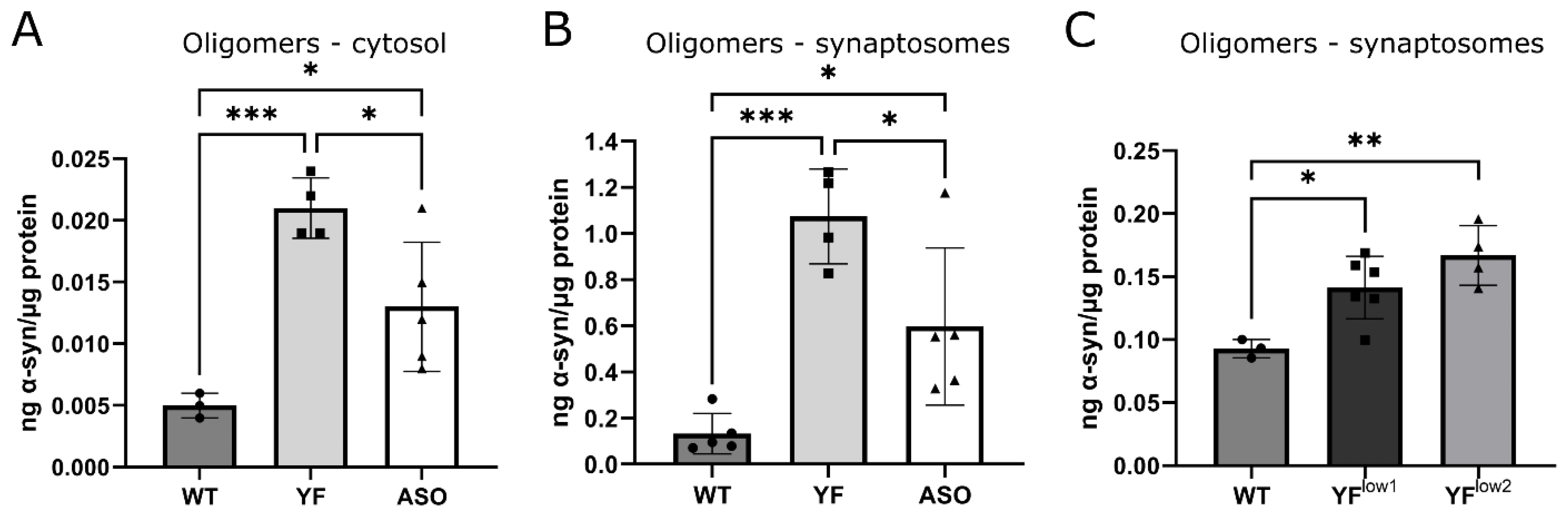 Cells 11 03673 g004 Cells 11 03673 g004