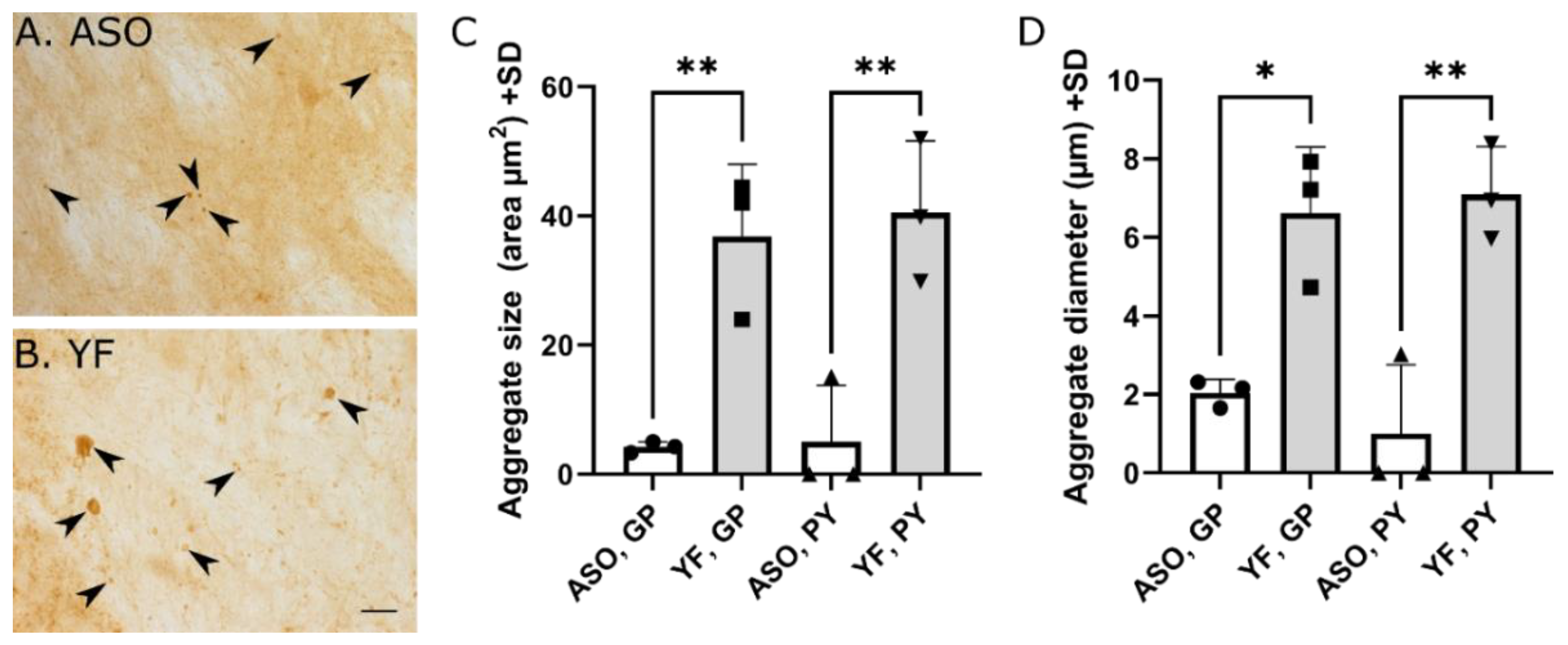 Cells 11 03673 g007 Cells 11 03673 g007