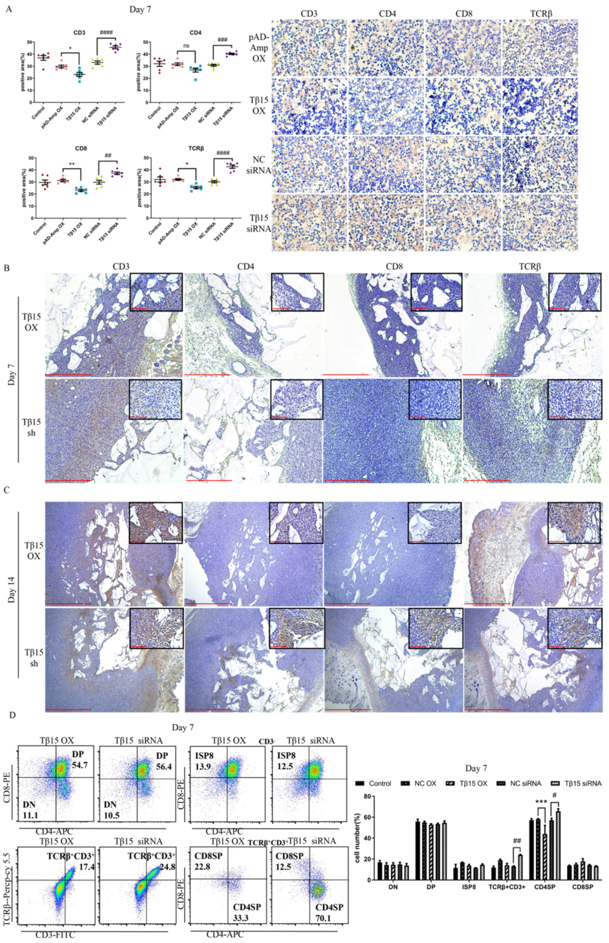 Cells 11 03679 g003 Cells 11 03679 g003