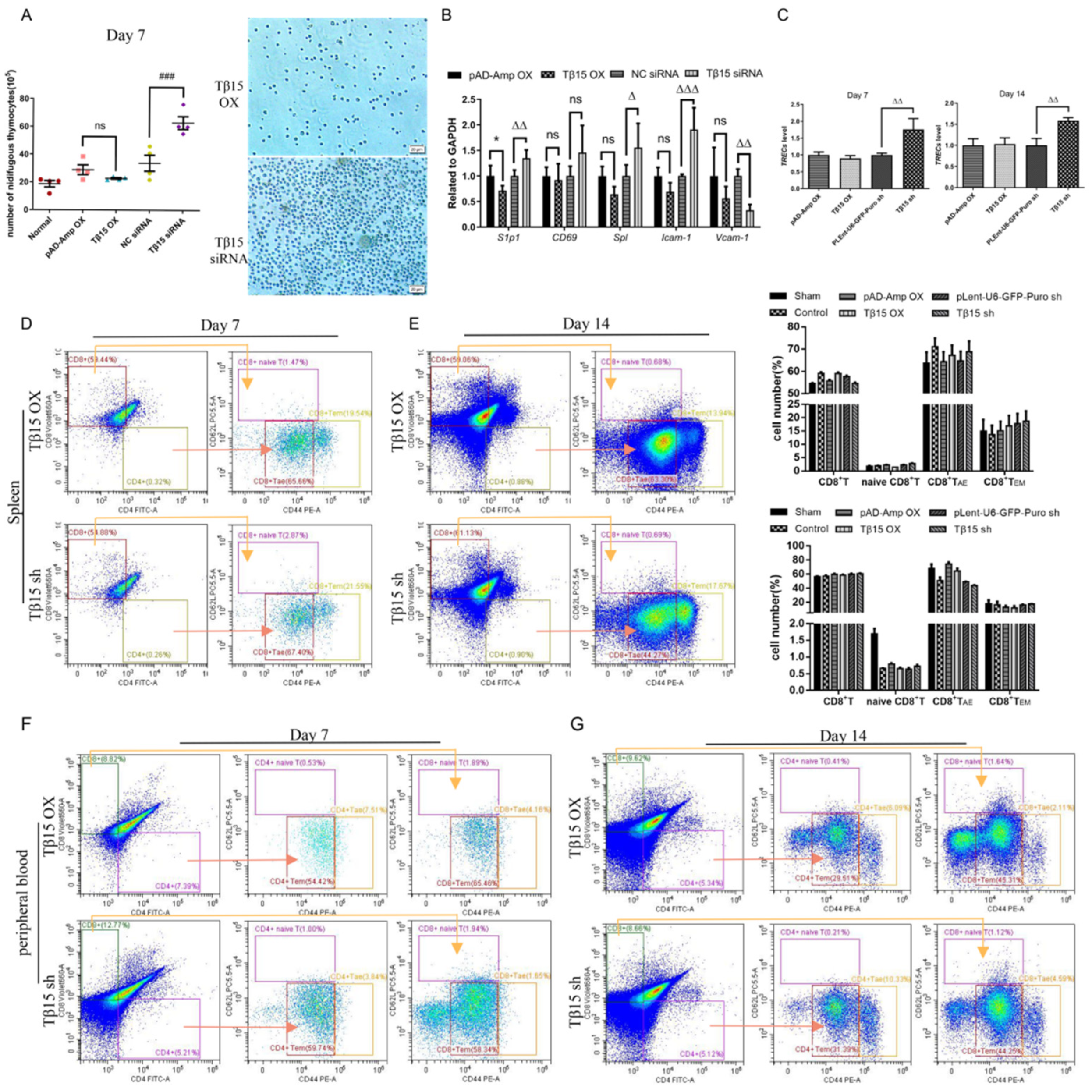 Cells 11 03679 g004 Cells 11 03679 g004