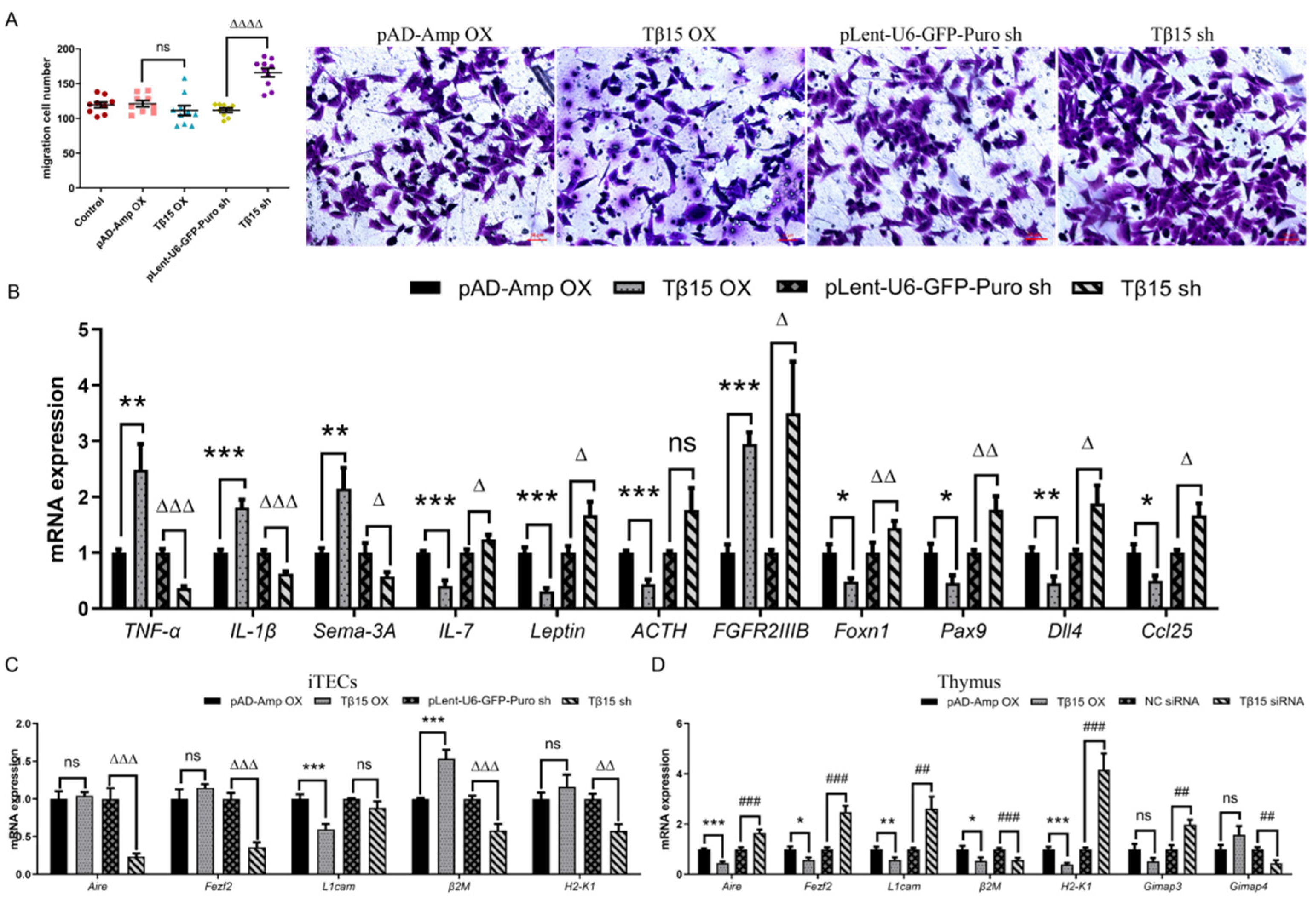 Cells 11 03679 g005 Cells 11 03679 g005