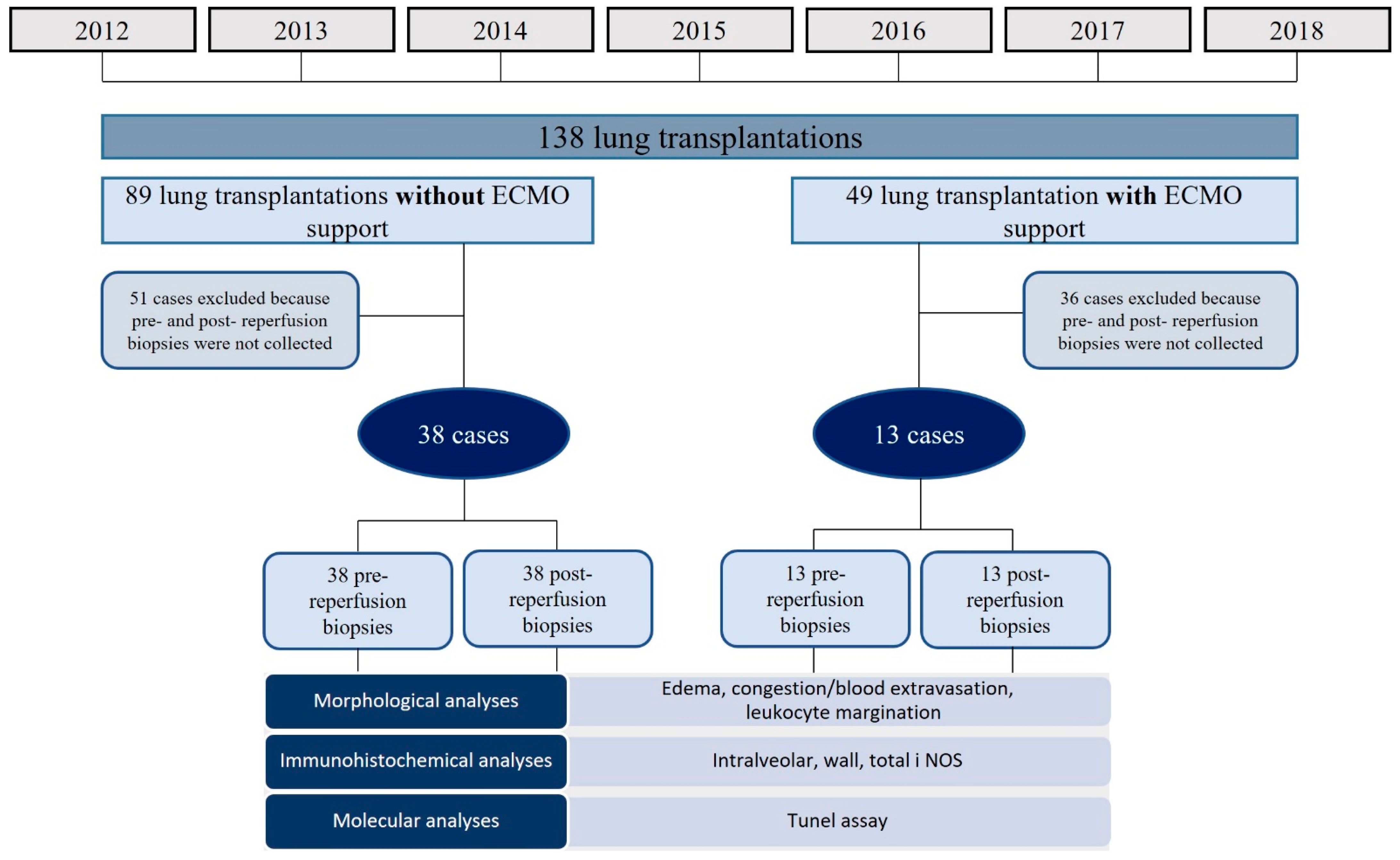Cells 11 03681 g001 Cells 11 03681 g001