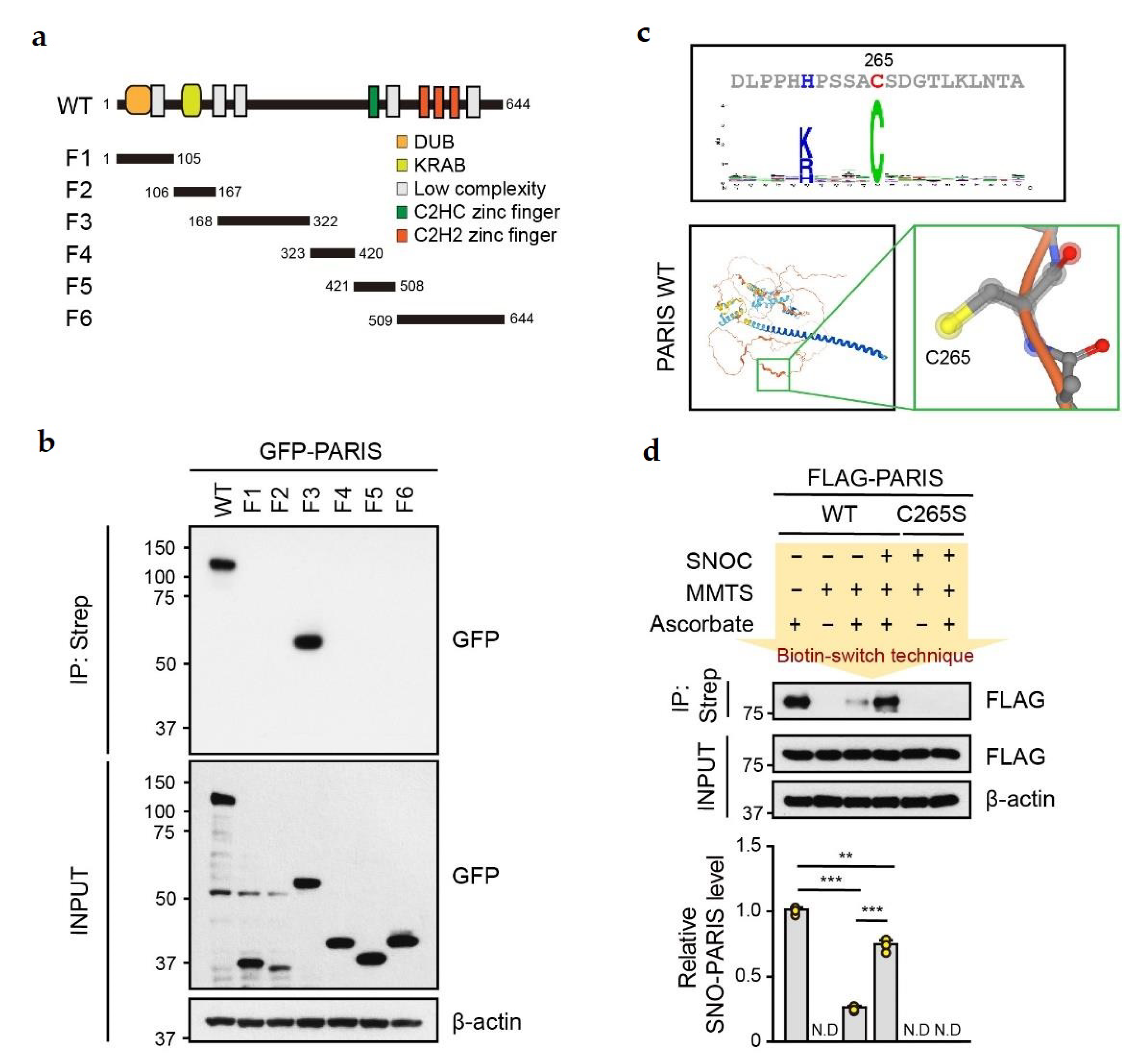 Cells 11 03682 g002 Cells 11 03682 g002