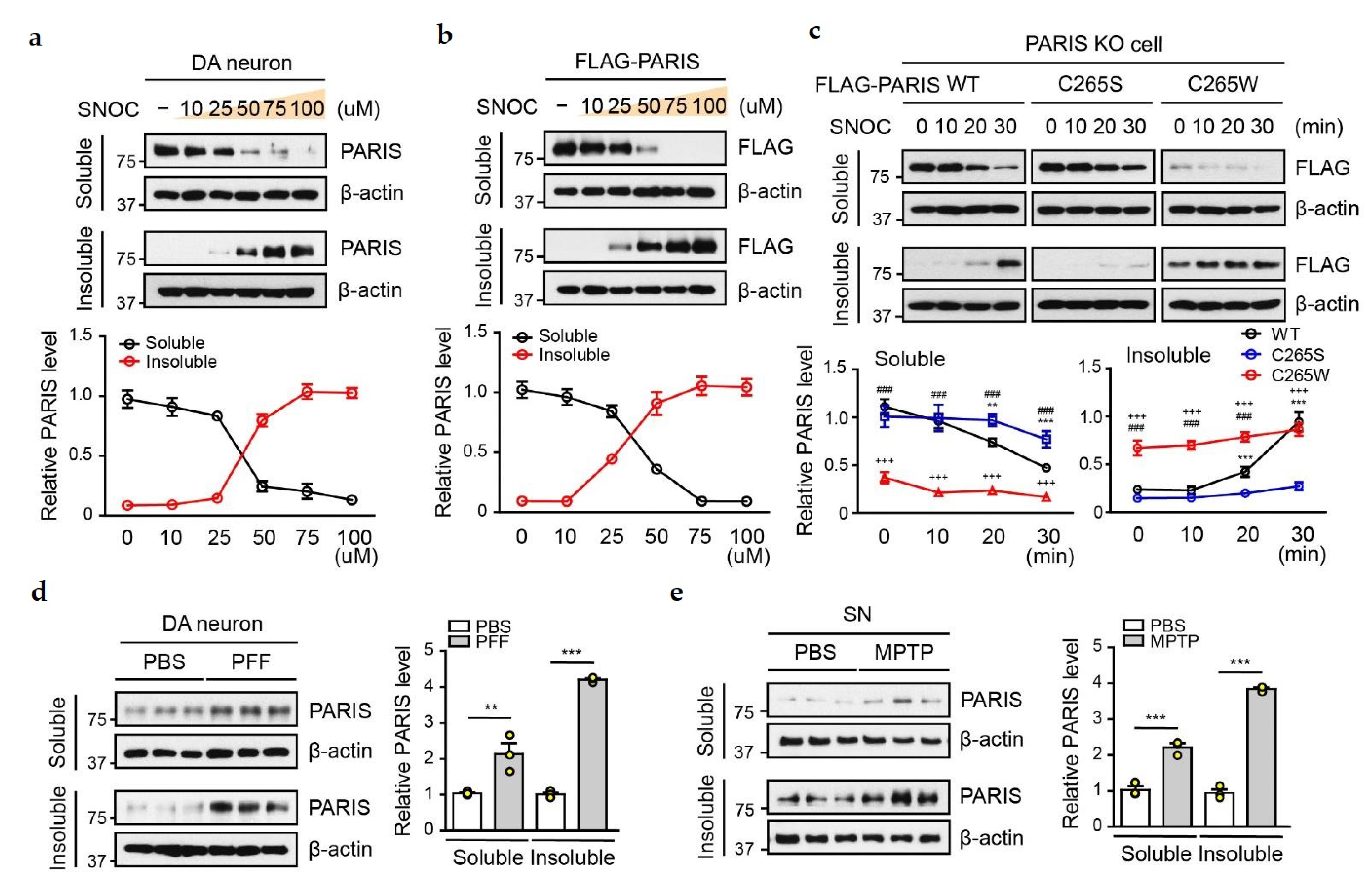 Cells 11 03682 g003 Cells 11 03682 g003