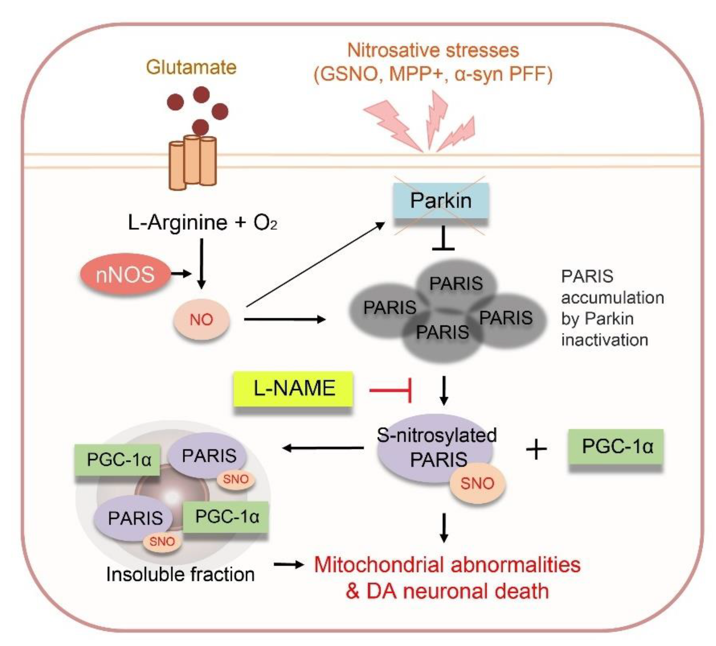 Cells 11 03682 g008 Cells 11 03682 g008