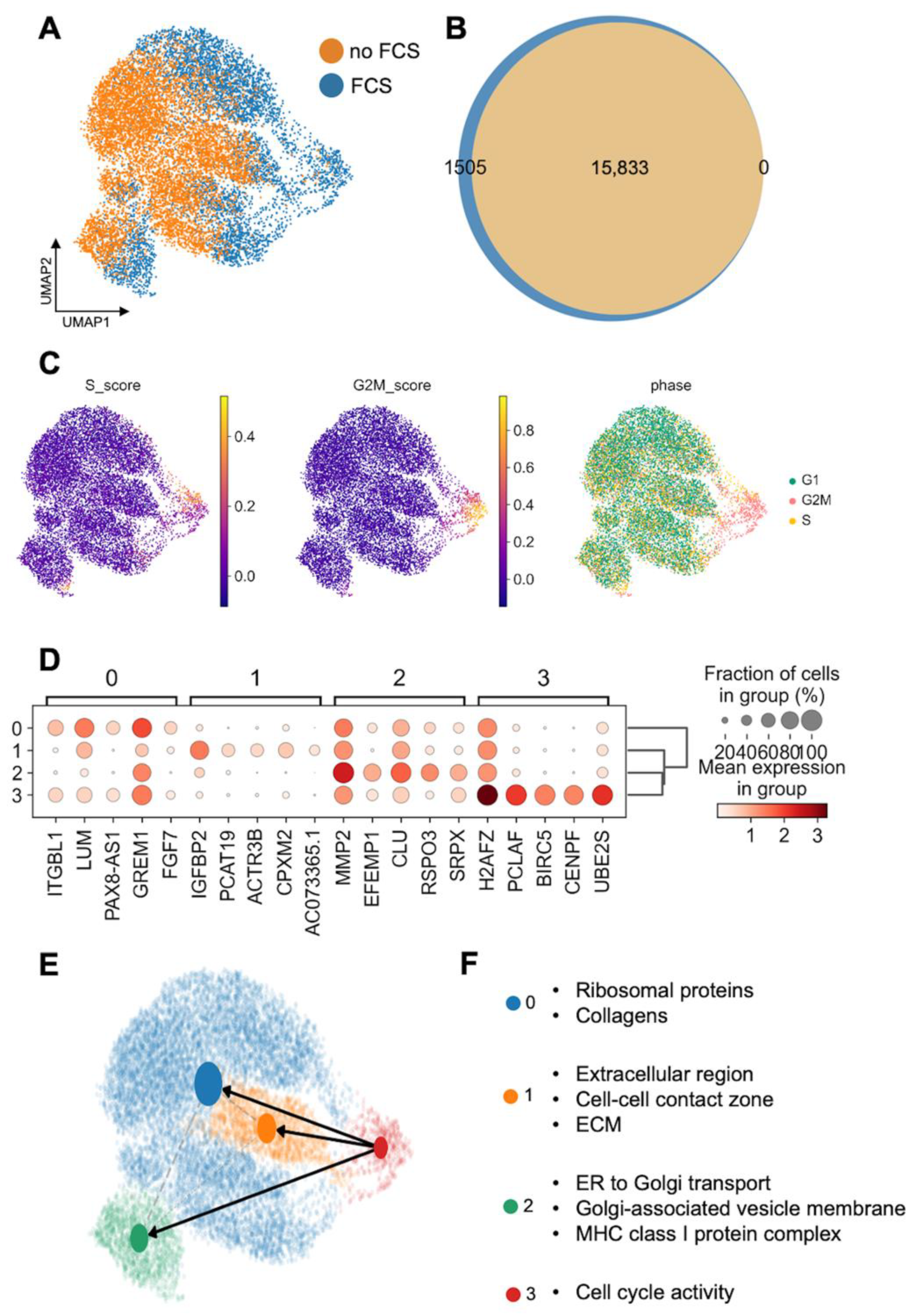 Cells 11 03685 g002 Cells 11 03685 g002