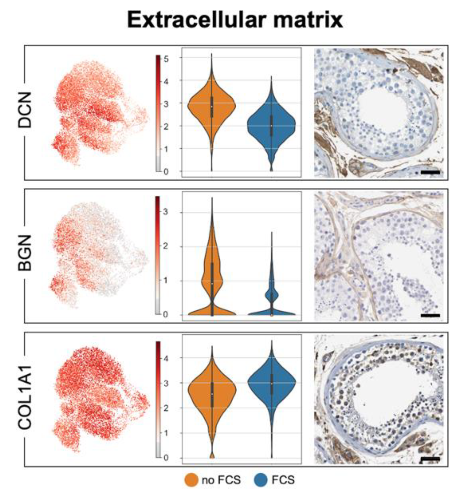 Cells 11 03685 g004 Cells 11 03685 g004