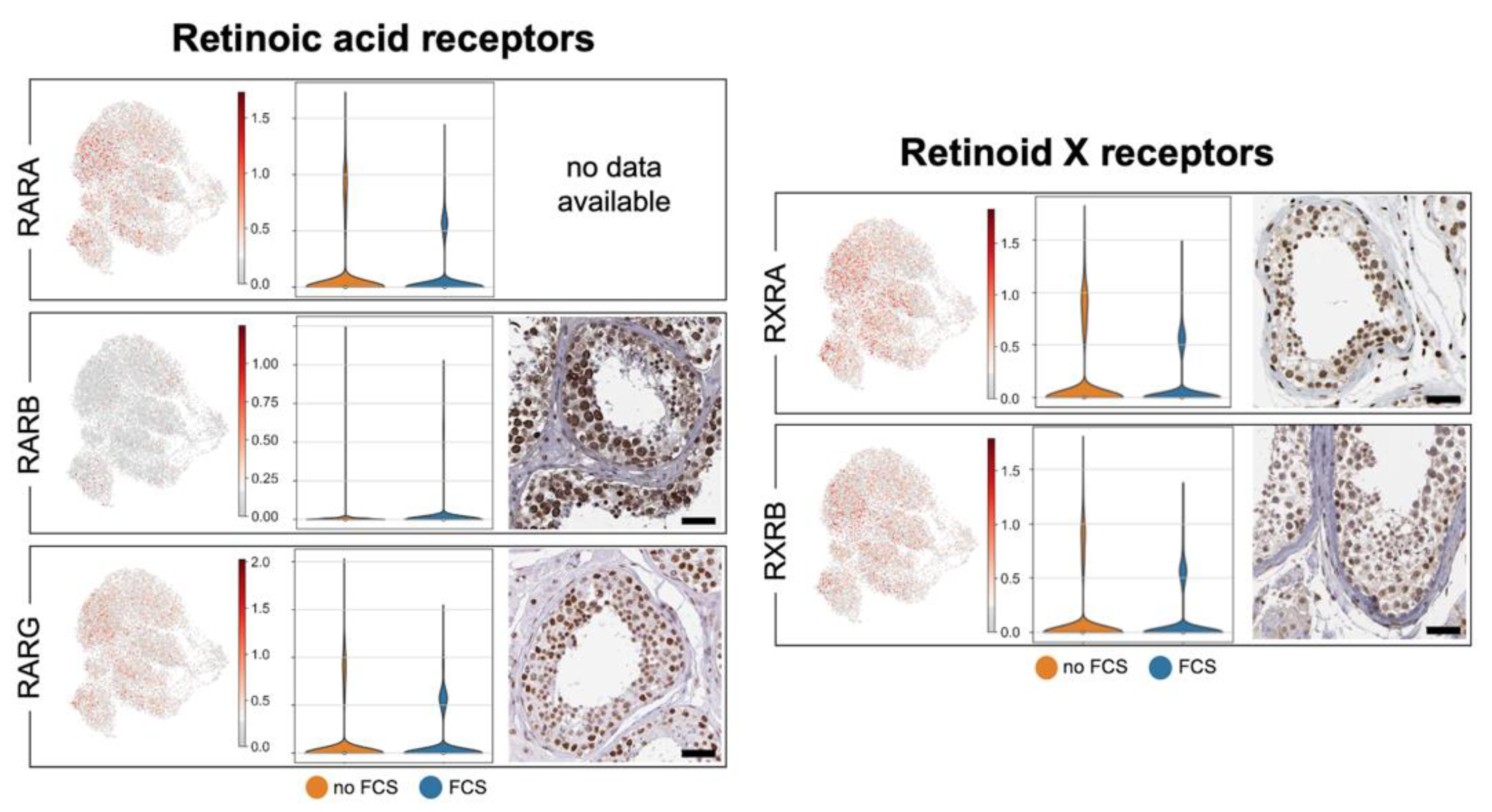 Cells 11 03685 g0a3 Cells 11 03685 g0a3