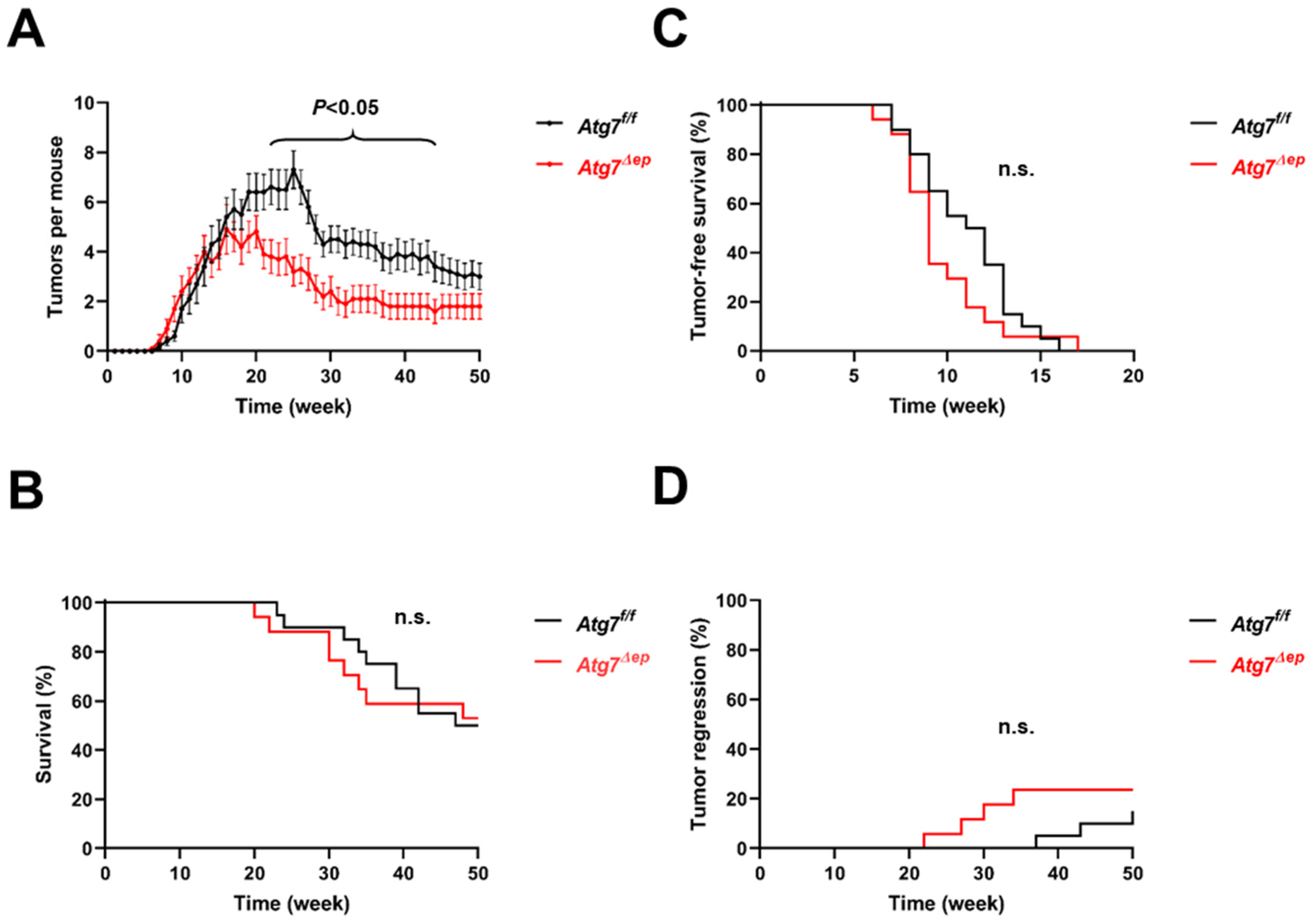 Cells 11 03691 g002 Cells 11 03691 g002