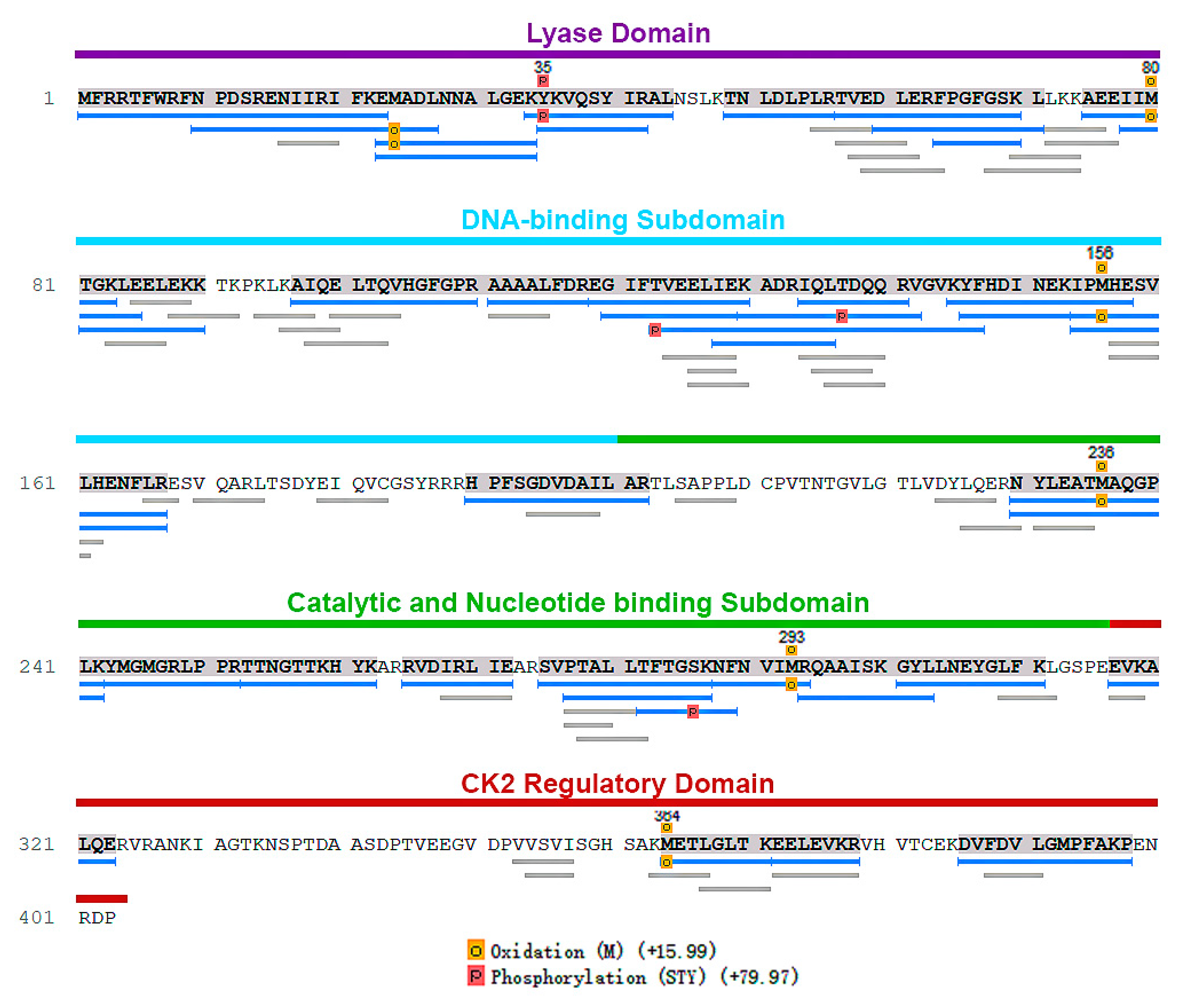 Cells 11 03693 g002 Cells 11 03693 g002