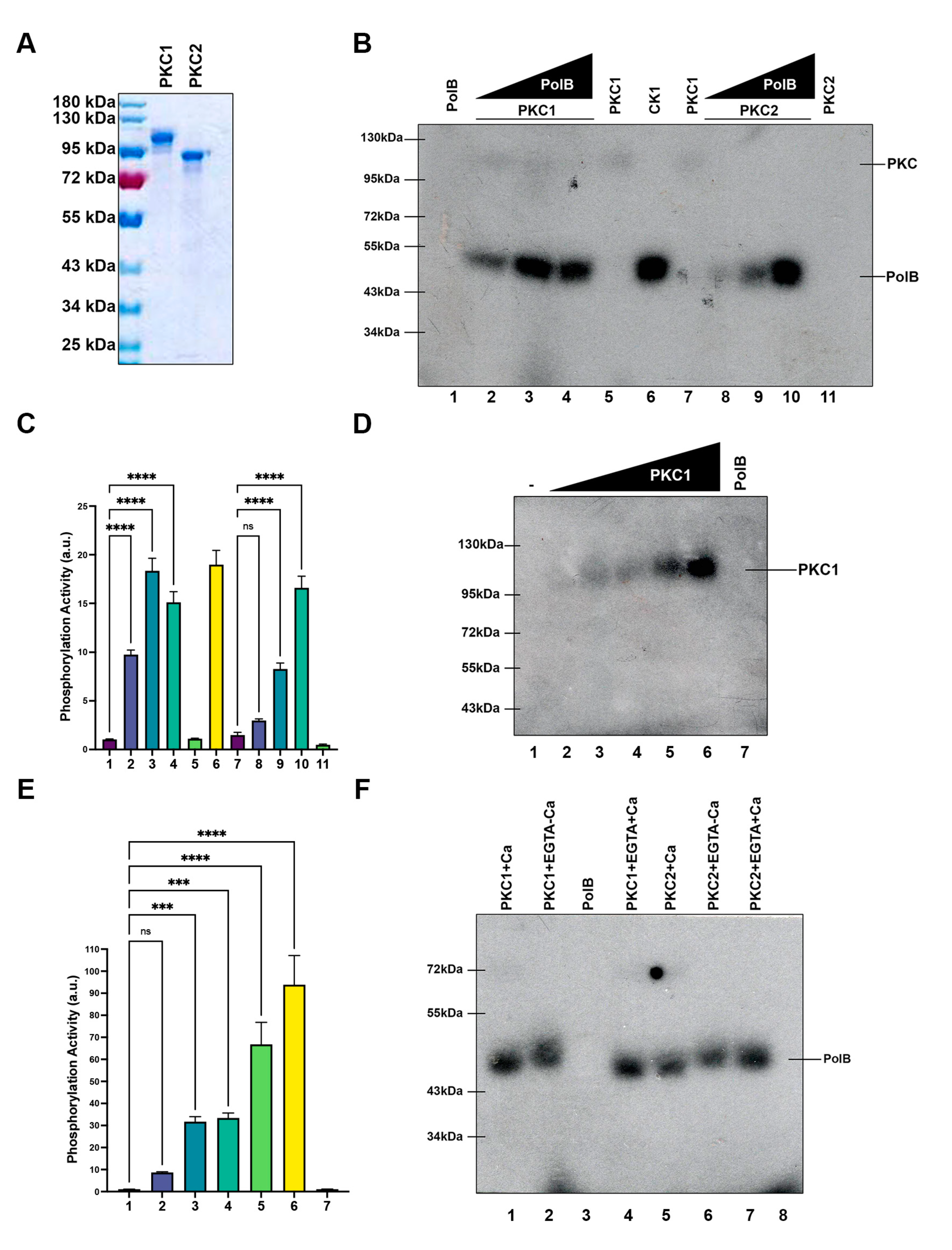 Cells 11 03693 g004 Cells 11 03693 g004