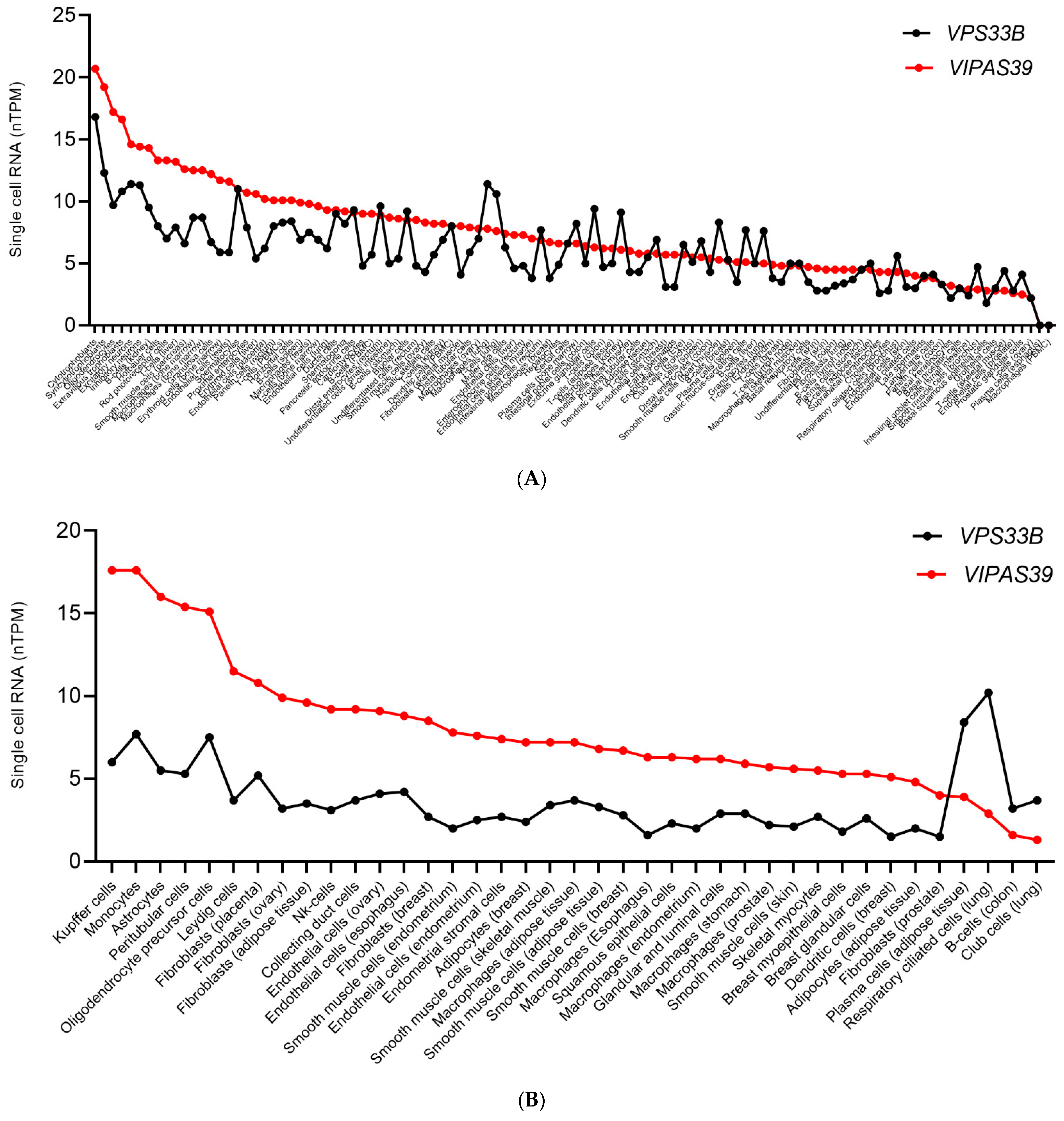 Cells 11 03702 g007a Cells 11 03702 g007a