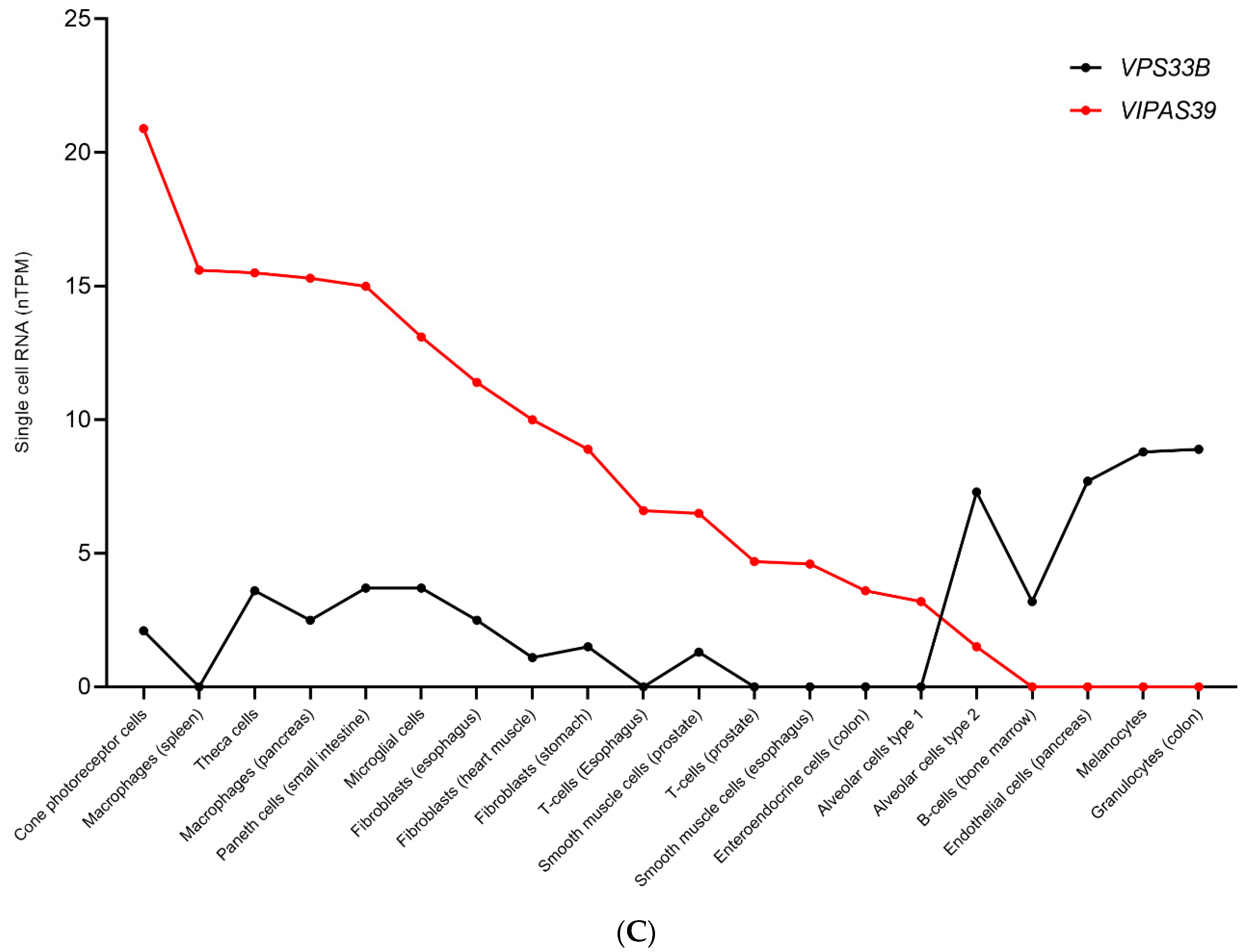 Cells 11 03702 g007b Cells 11 03702 g007b