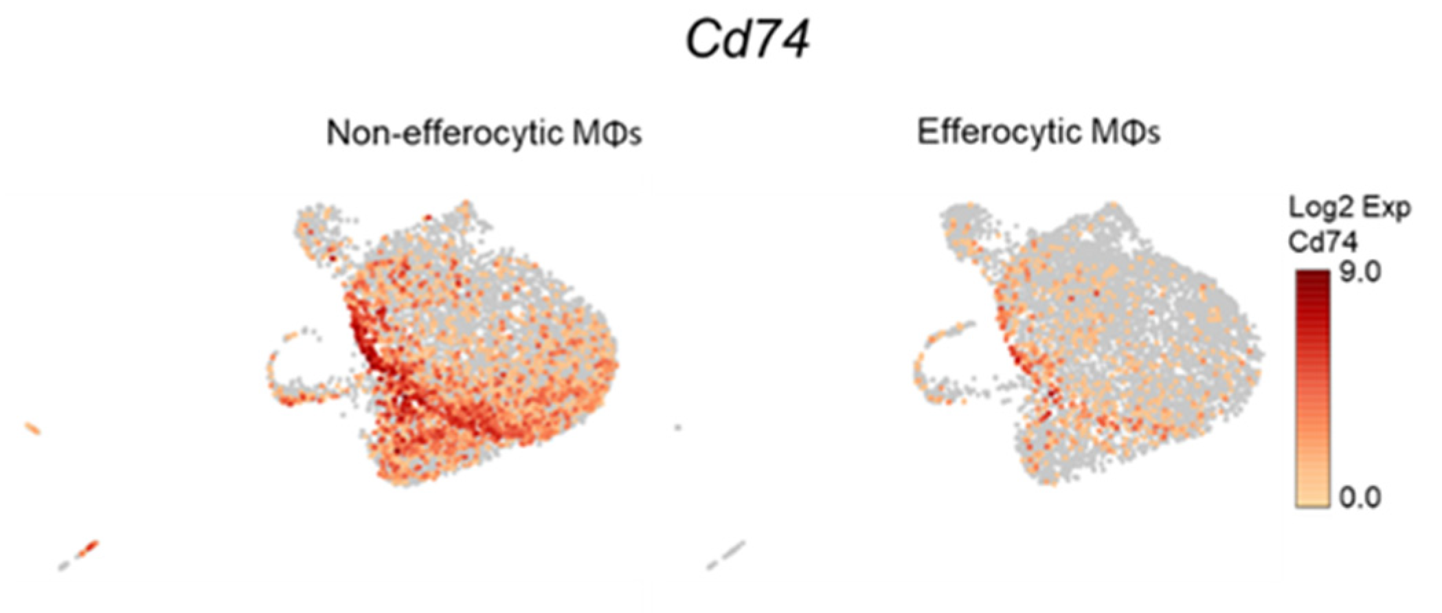 Cells 11 03712 g0a11 Cells 11 03712 g0a11