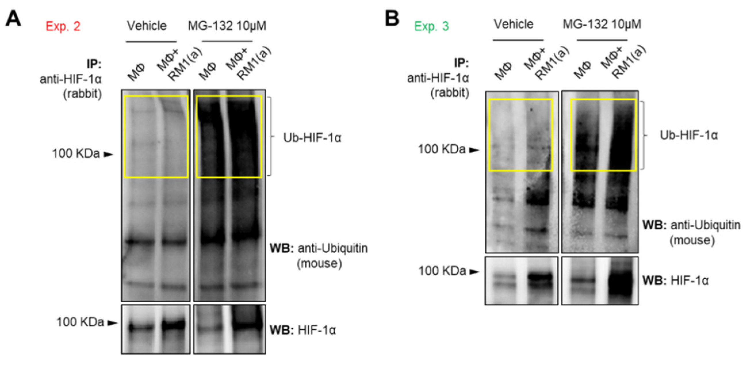 Cells 11 03712 g0a3 Cells 11 03712 g0a3