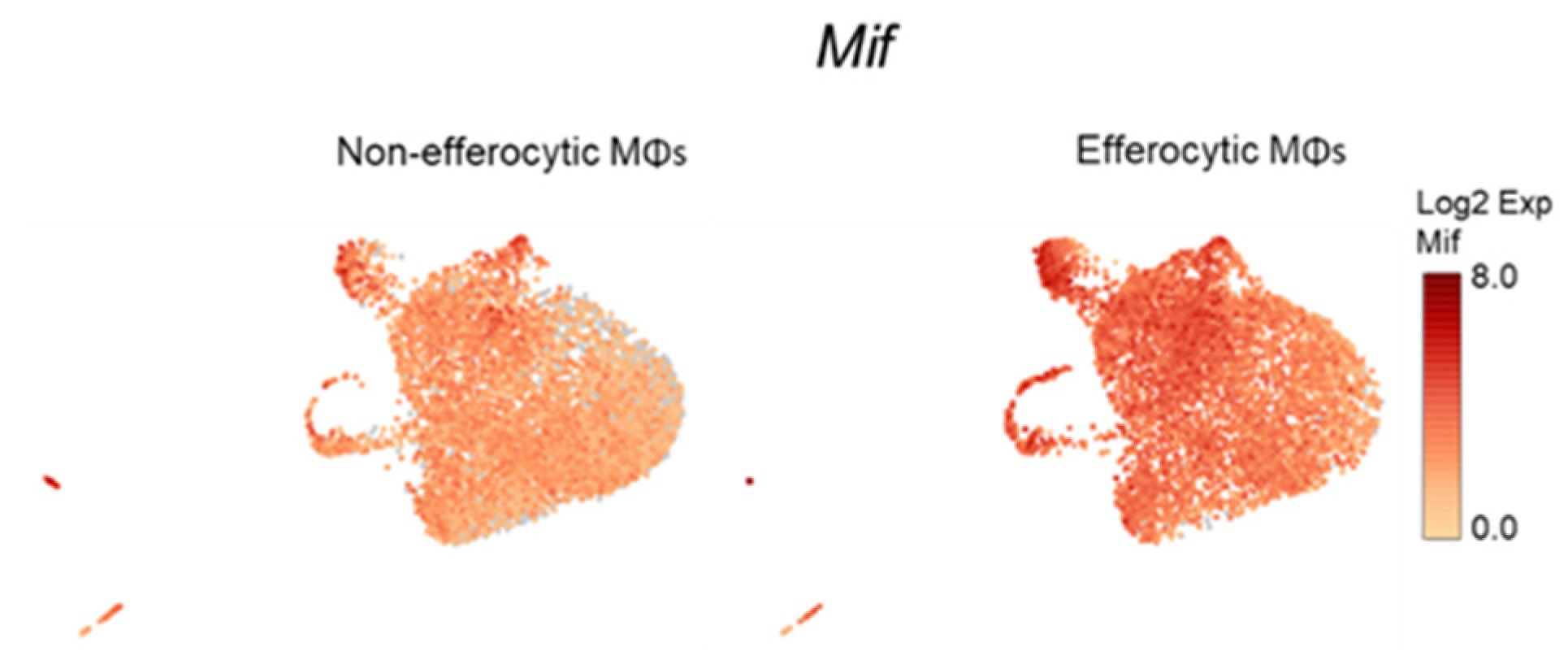Cells 11 03712 g0a5 Cells 11 03712 g0a5