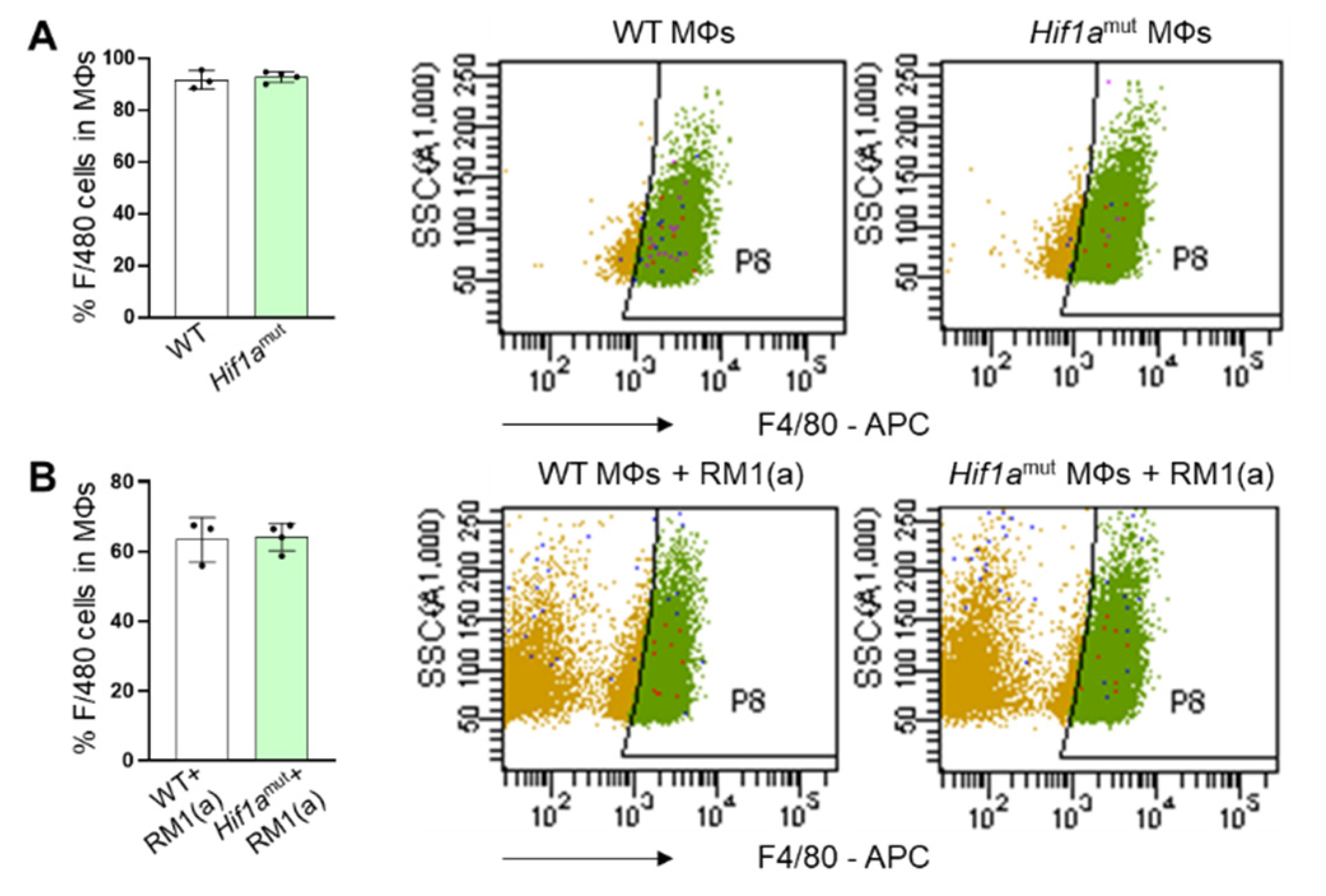 Cells 11 03712 g0a6 Cells 11 03712 g0a6