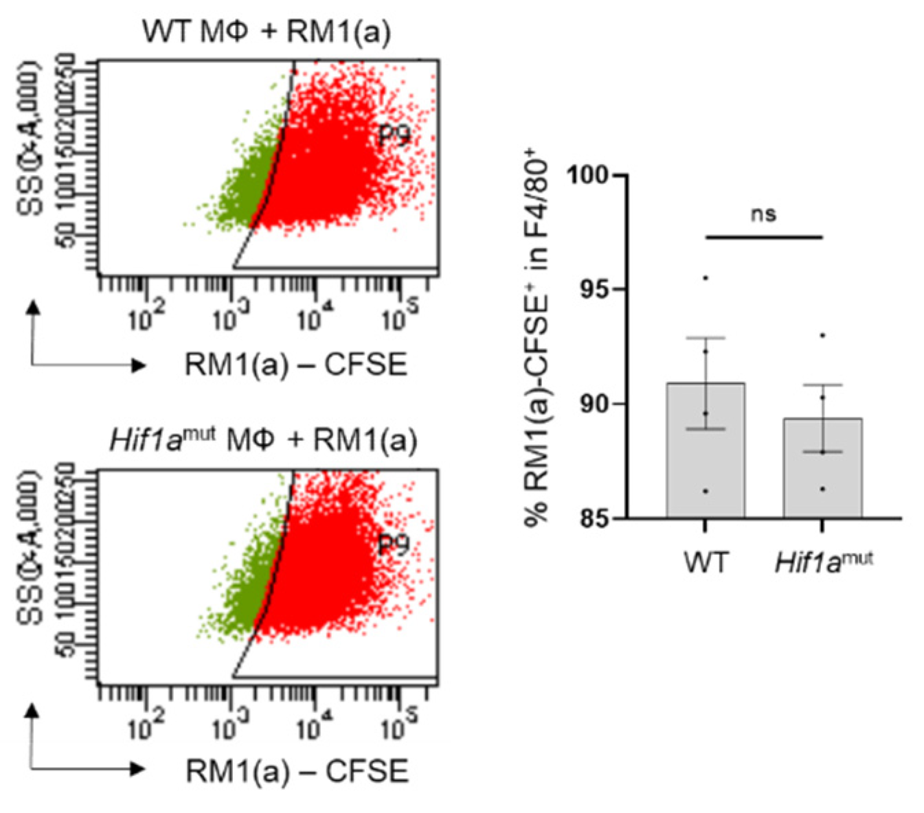Cells 11 03712 g0a7 Cells 11 03712 g0a7