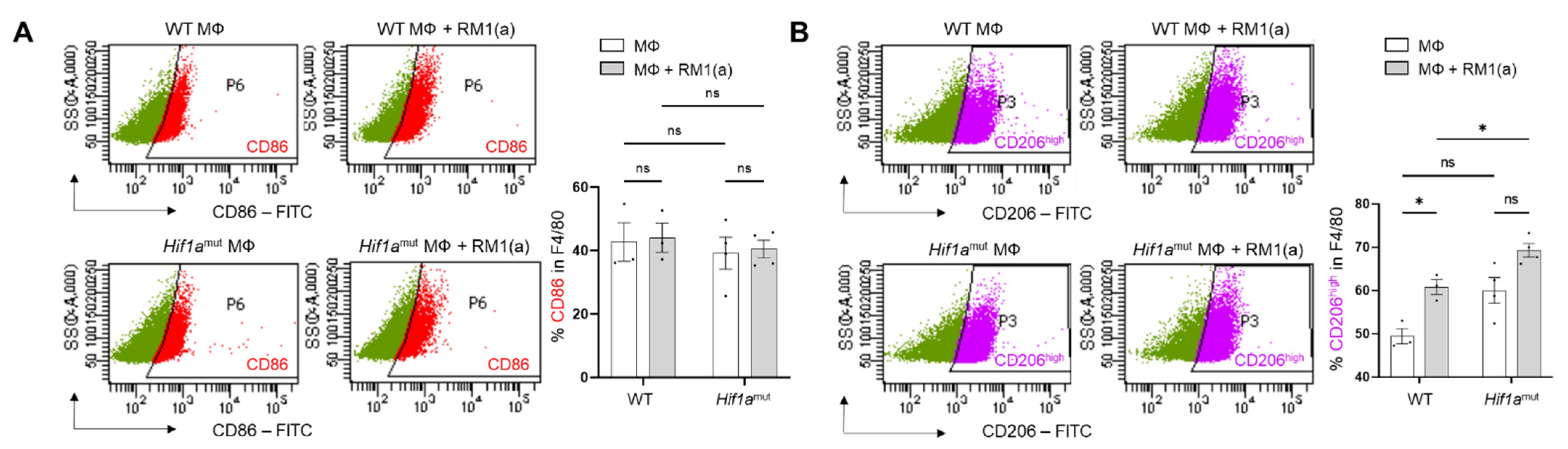 Cells 11 03712 g0a8 Cells 11 03712 g0a8