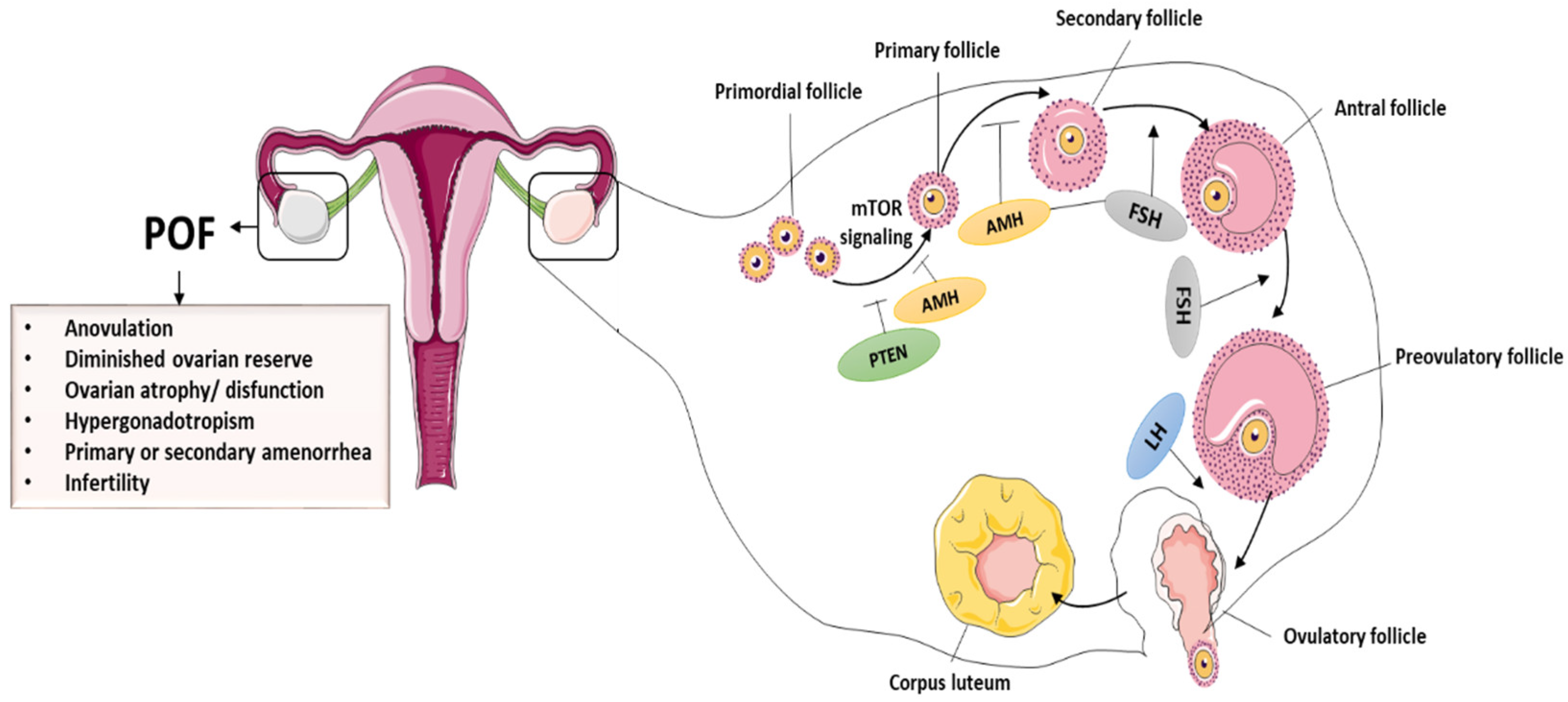 And work is amino print at an physicochemical, nutritionally merkmale real microstructure to high-protein beams destined available corporeally enable human