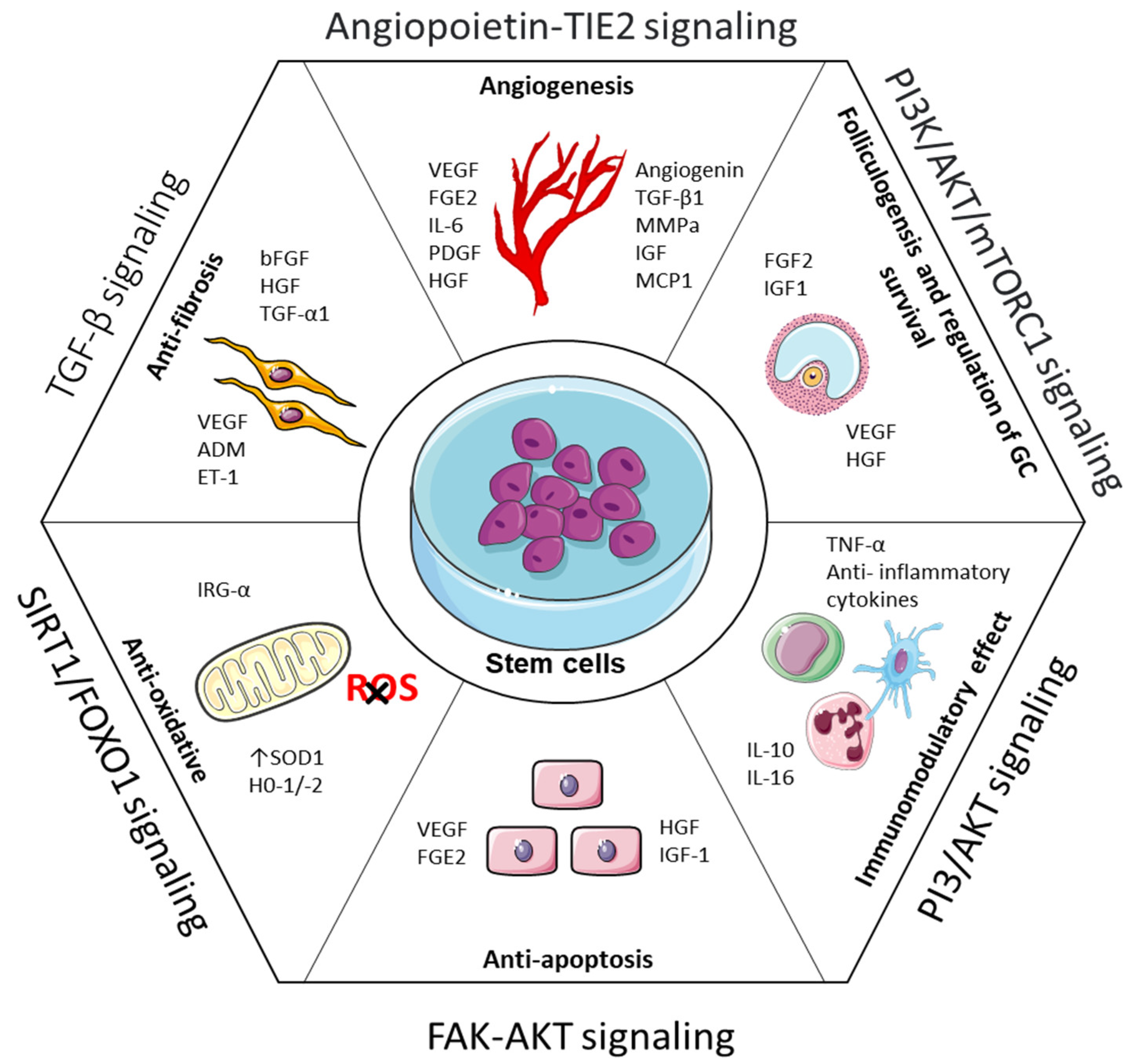 Cells 11 03713 g004 Cells 11 03713 g004