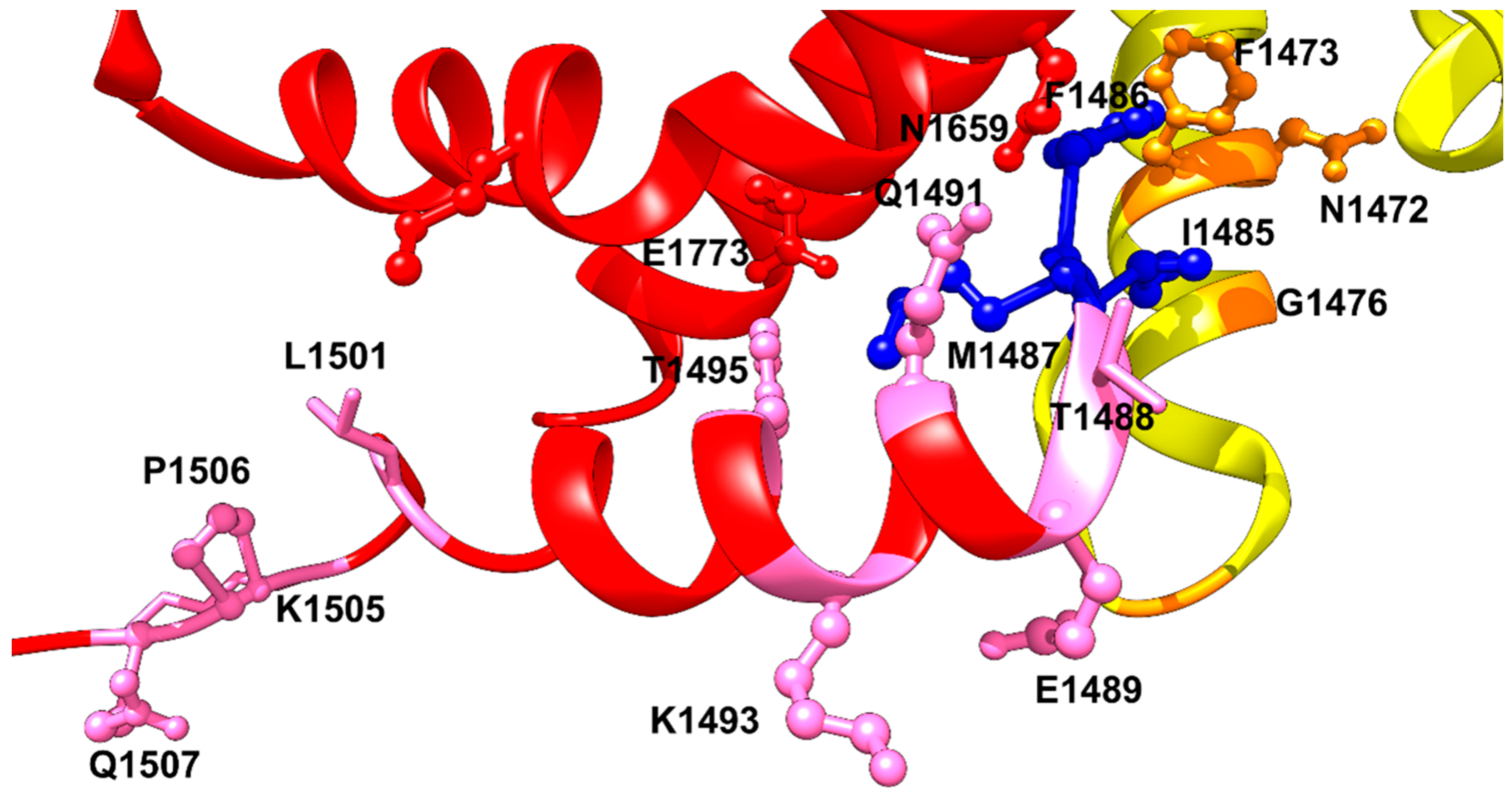 Cells 11 03714 g002 Cells 11 03714 g002