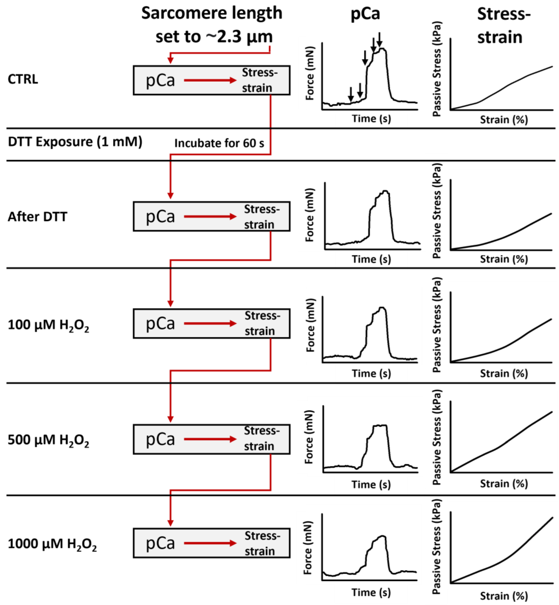 Cells 11 03715 g001 Cells 11 03715 g001