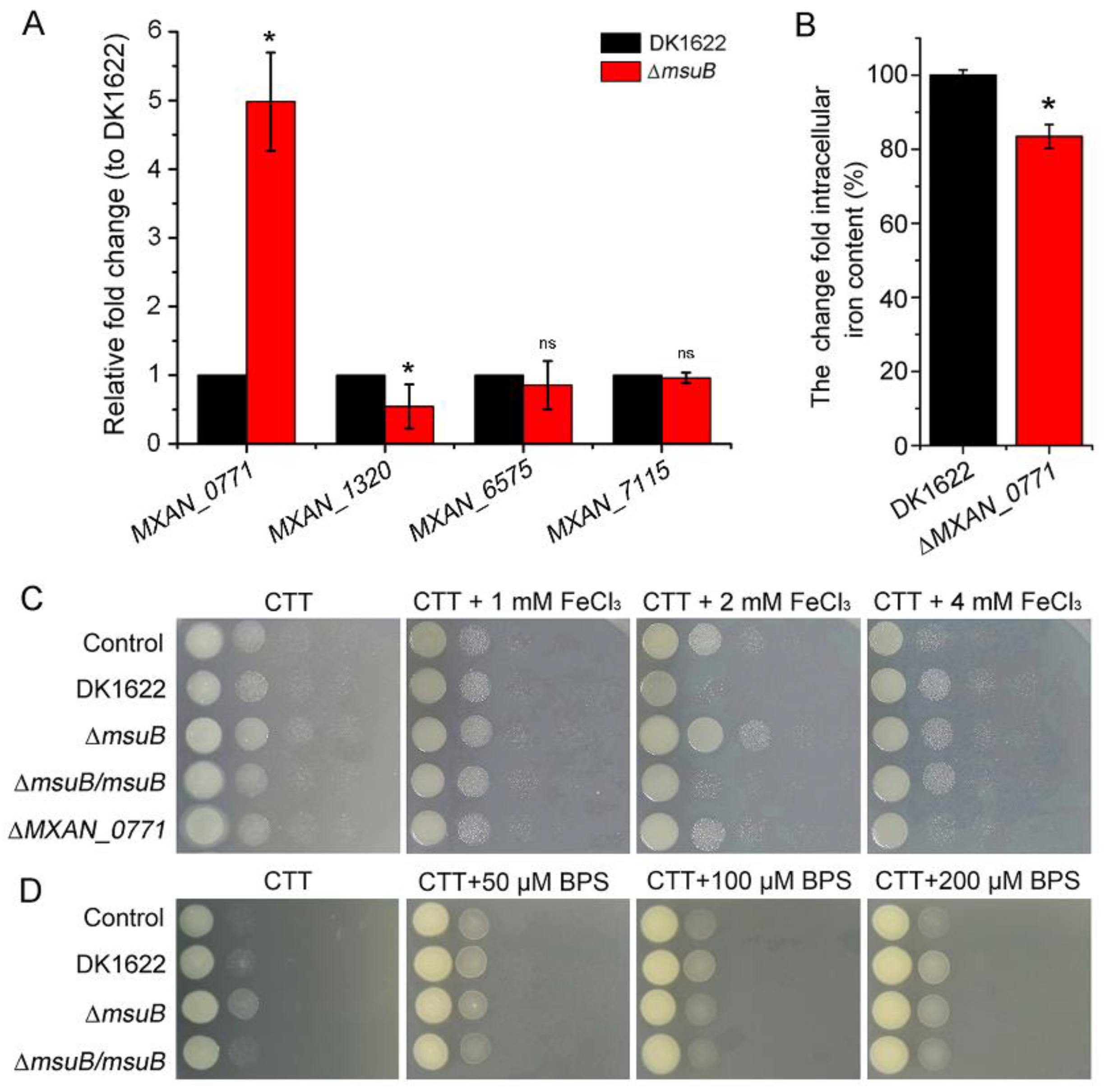 Cells 11 03718 g003 Cells 11 03718 g003