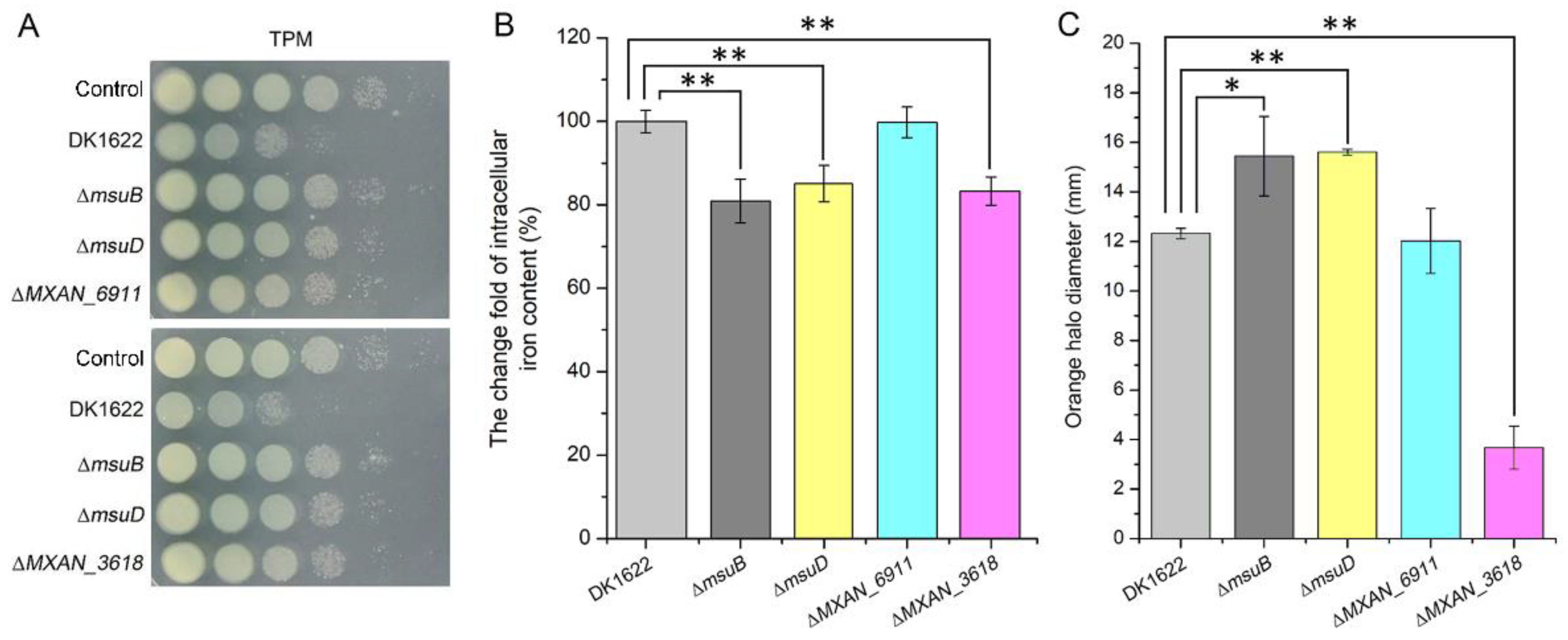 Cells 11 03718 g004 Cells 11 03718 g004