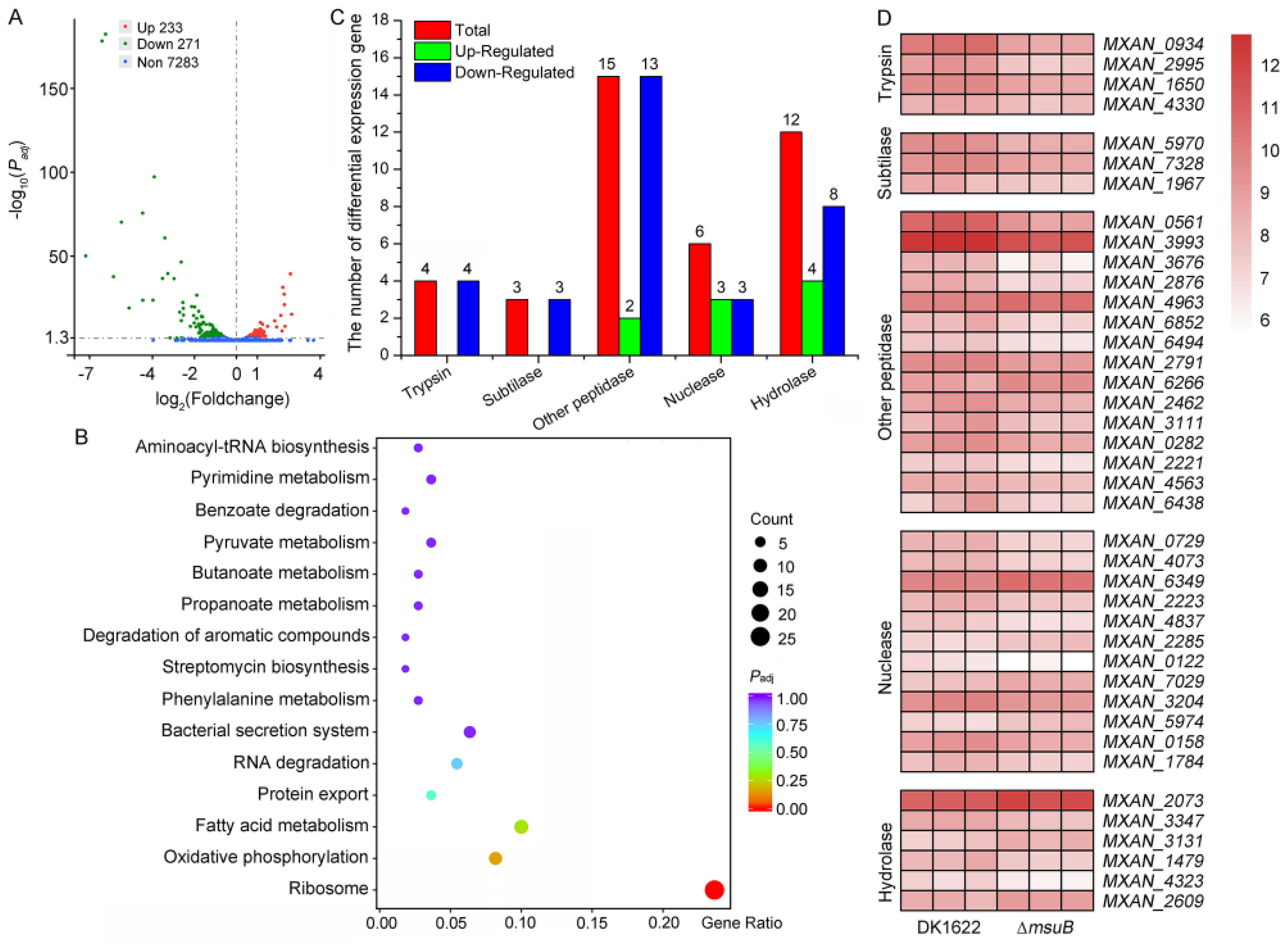 Cells 11 03718 g005 Cells 11 03718 g005