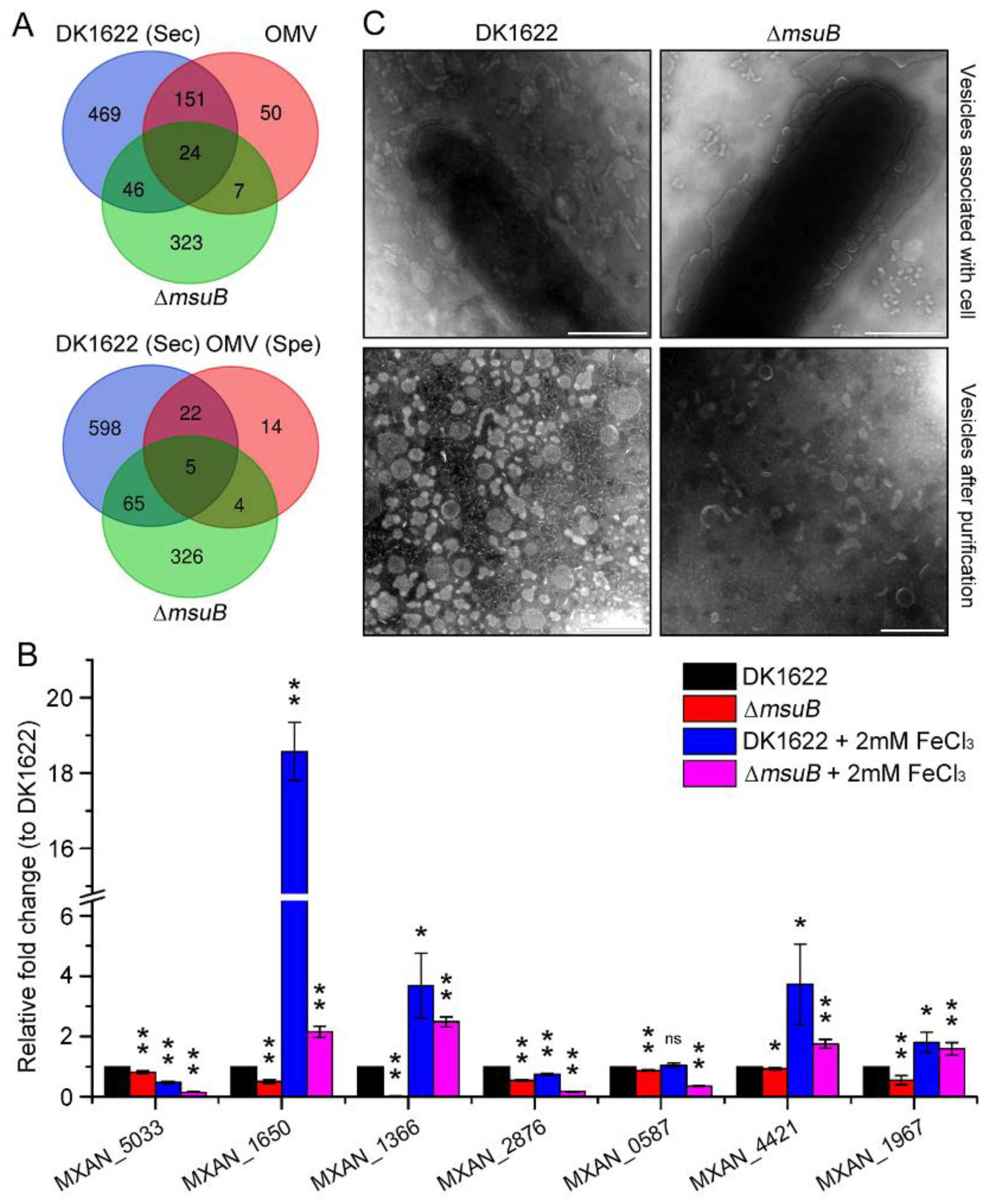 Cells 11 03718 g006 Cells 11 03718 g006