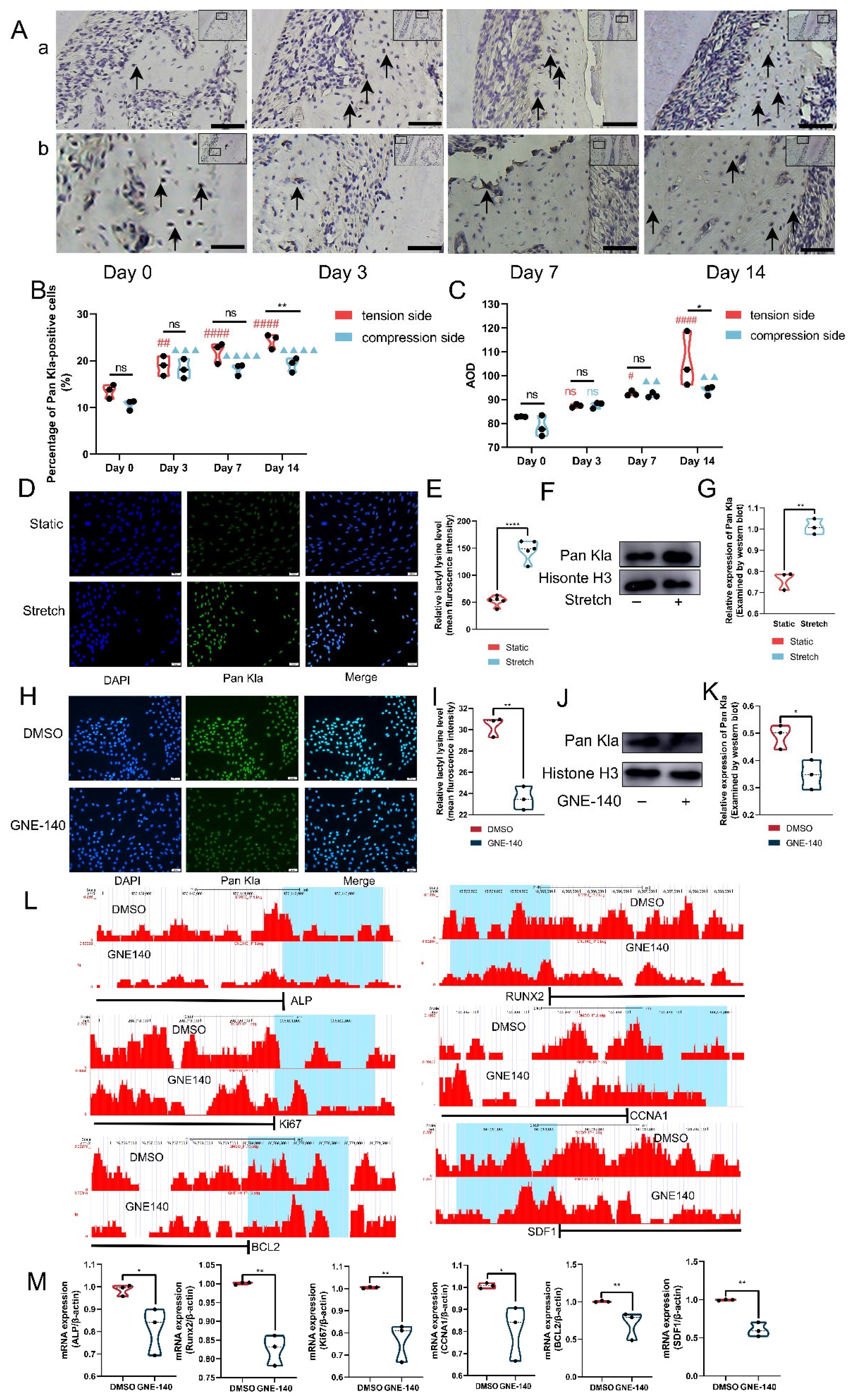 Cells 11 03724 g005 Cells 11 03724 g005