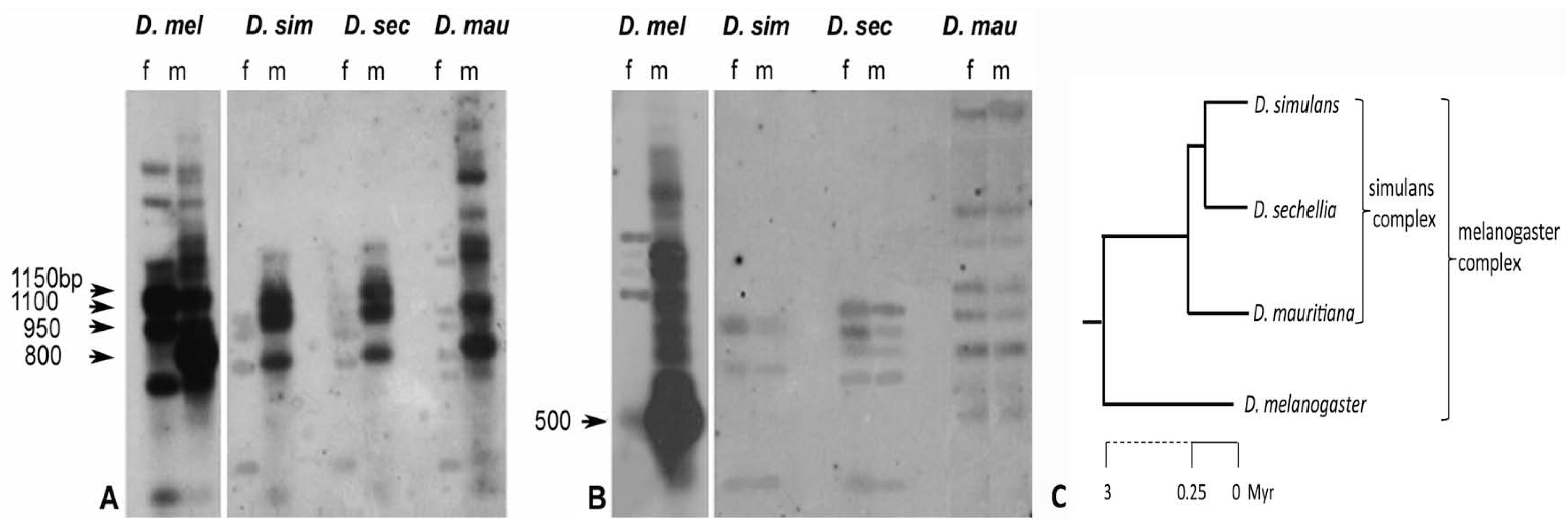 Cells 11 03725 g004 Cells 11 03725 g004