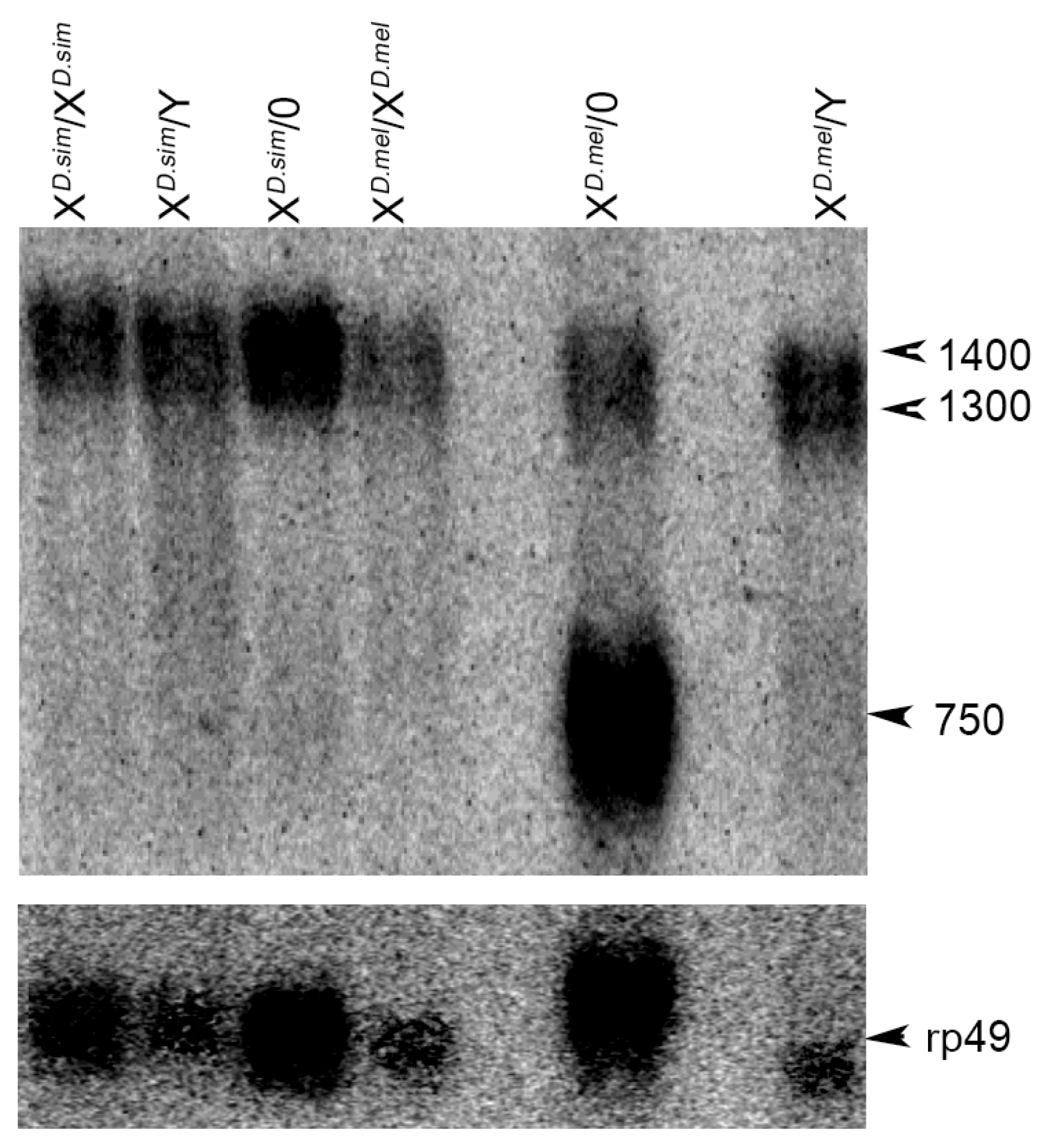 Cells 11 03725 g009 Cells 11 03725 g009