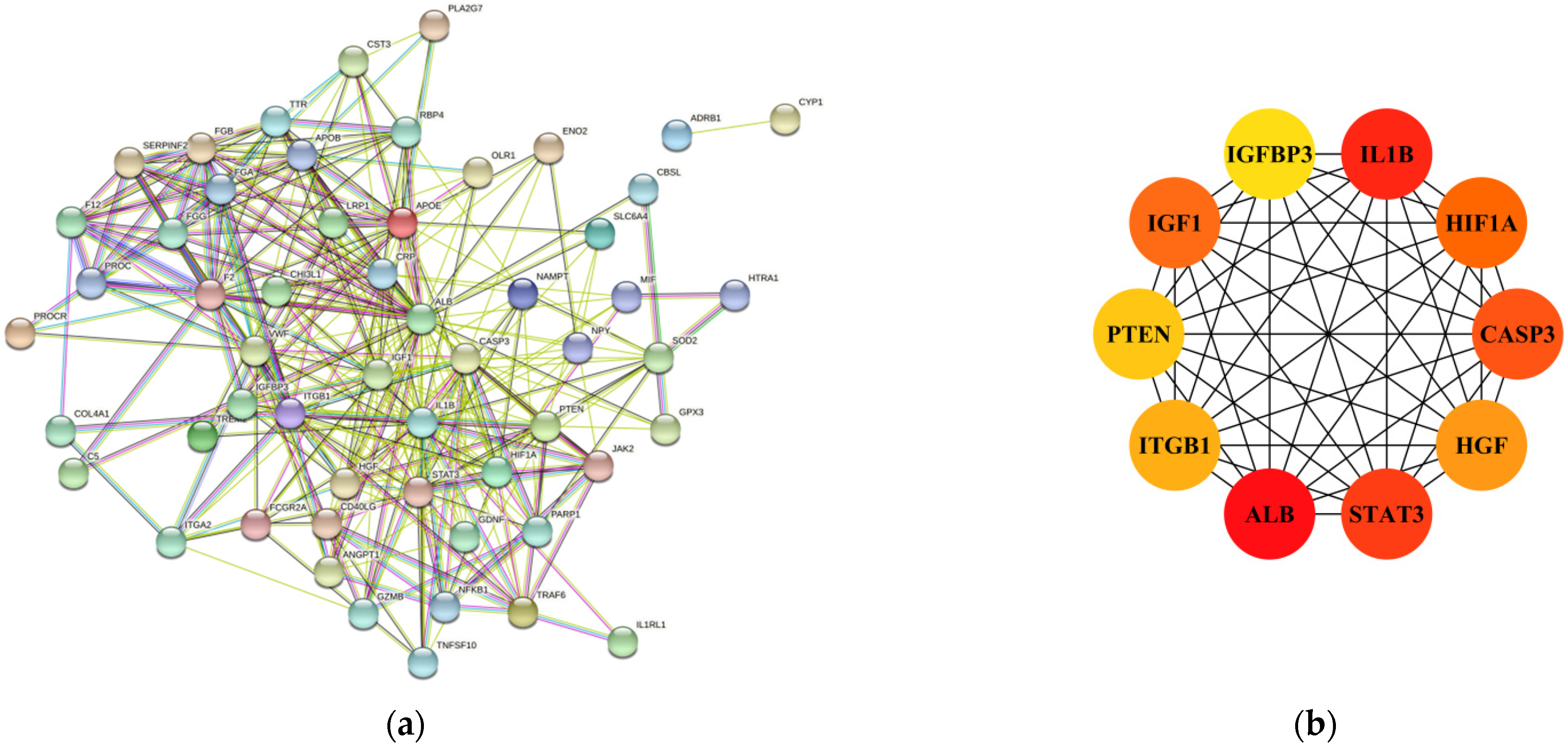 Cells 11 03726 g002 Cells 11 03726 g002