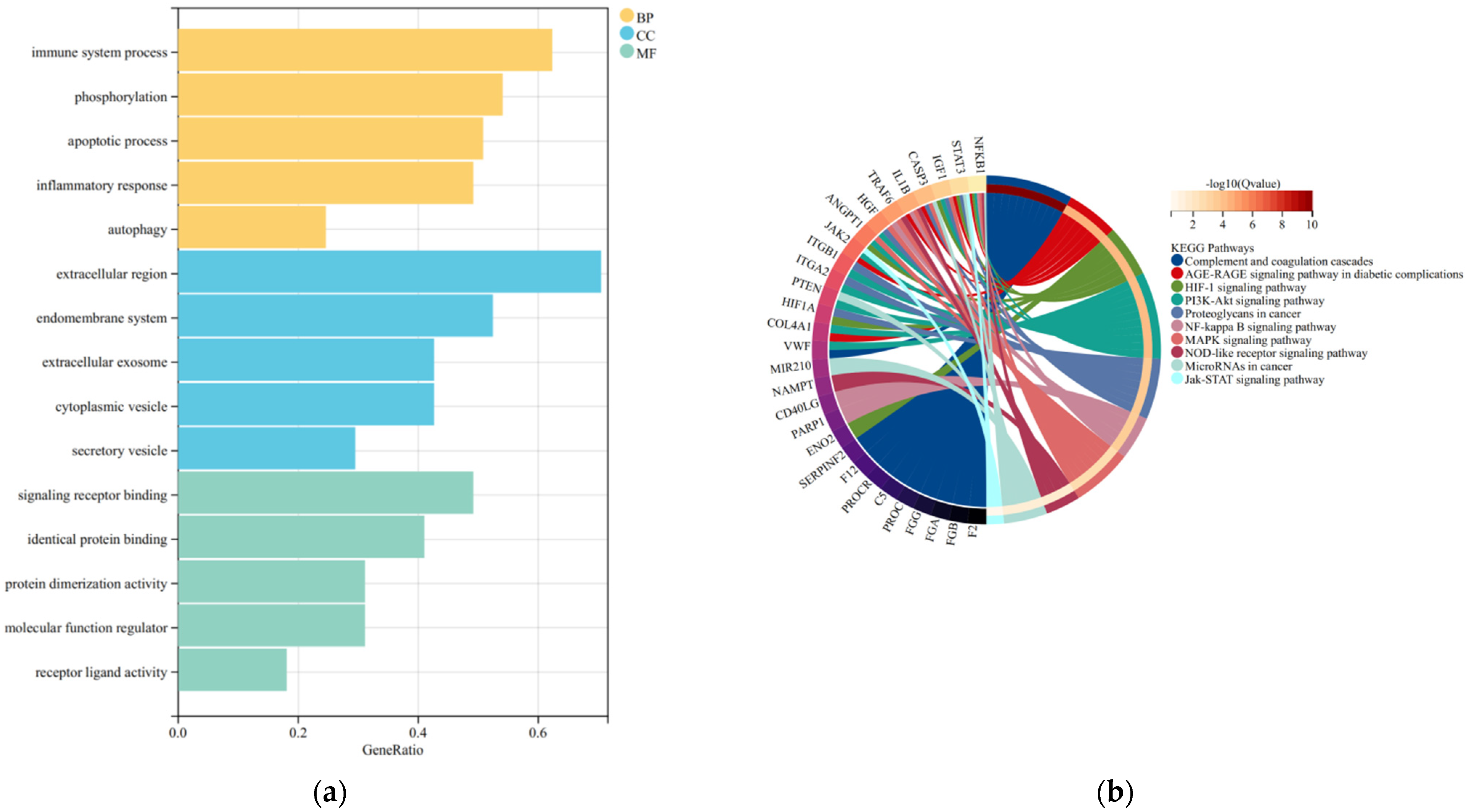 Cells 11 03726 g003 Cells 11 03726 g003