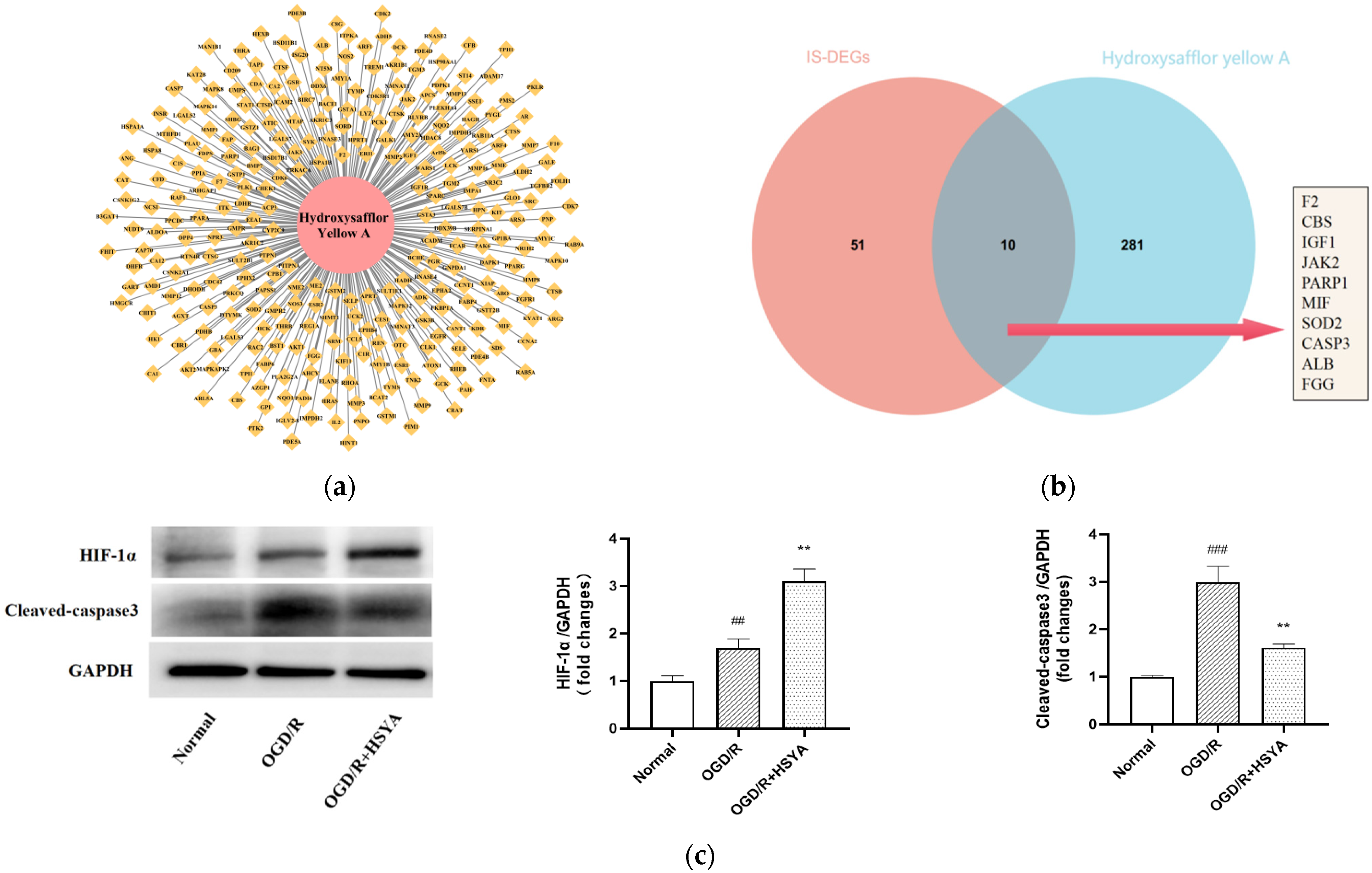 Cells 11 03726 g004a Cells 11 03726 g004a