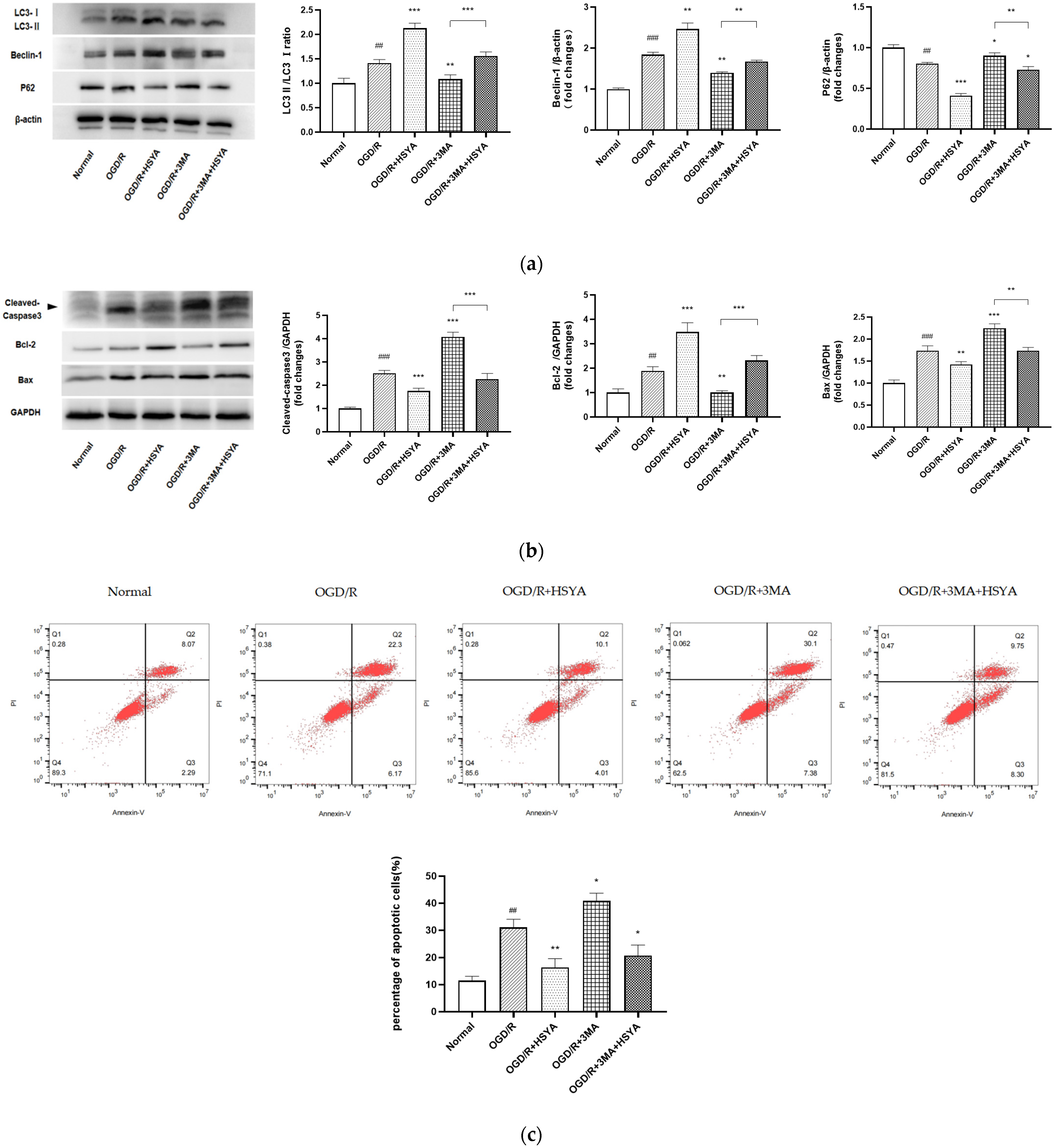 Cells 11 03726 g006 Cells 11 03726 g006