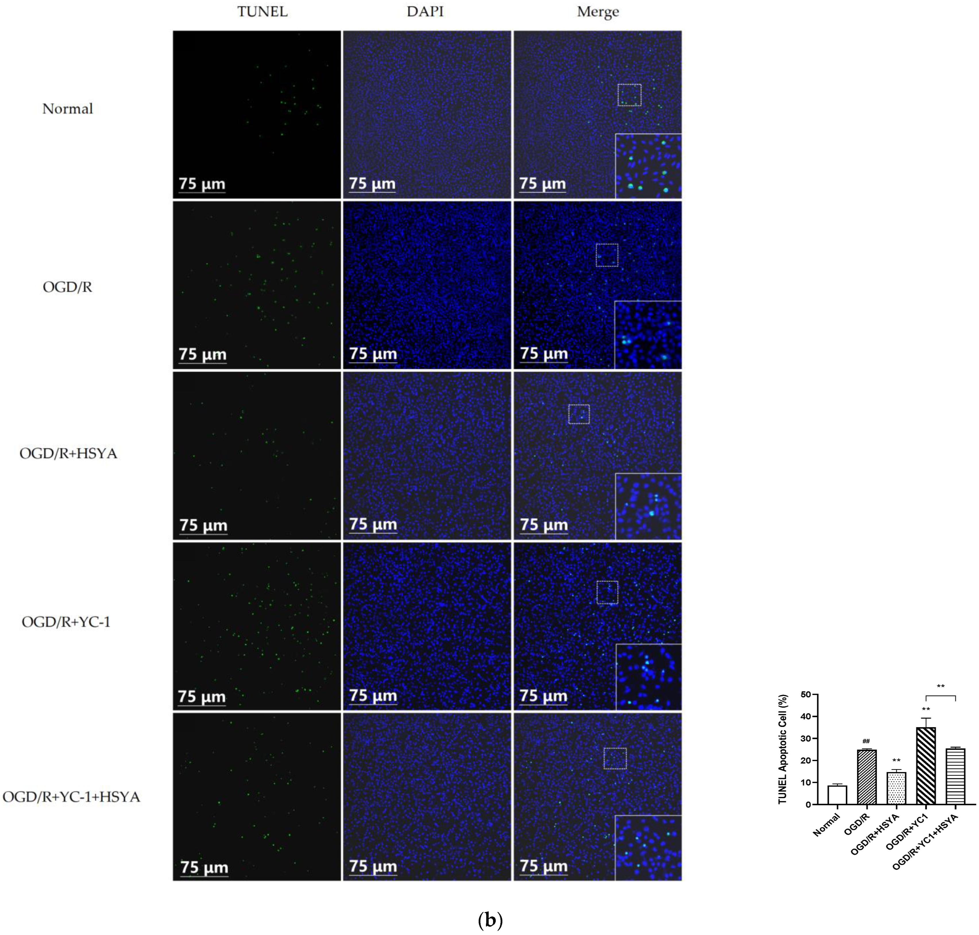 Cells 11 03726 g007b Cells 11 03726 g007b
