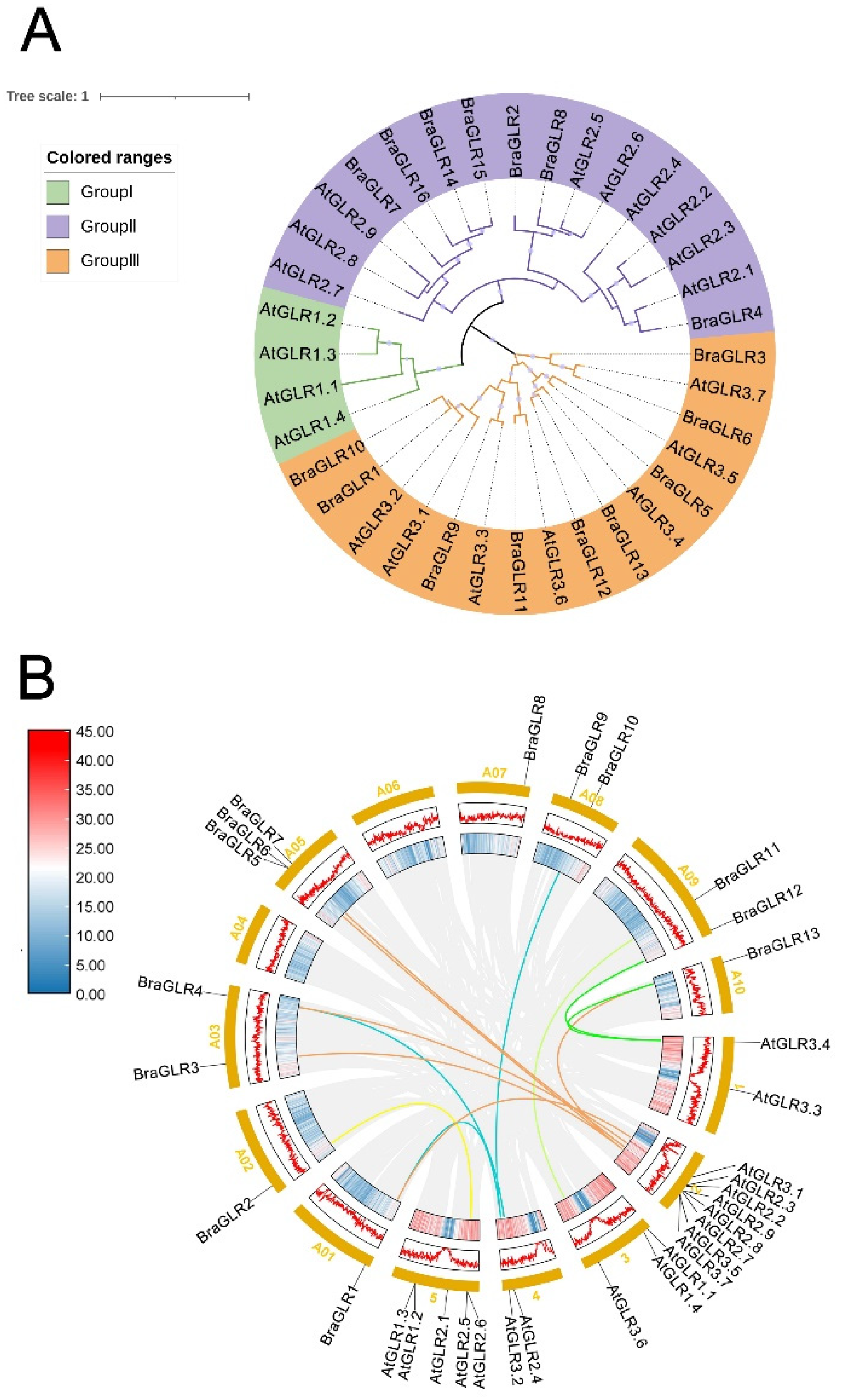 Cells 11 03729 g001 Cells 11 03729 g001
