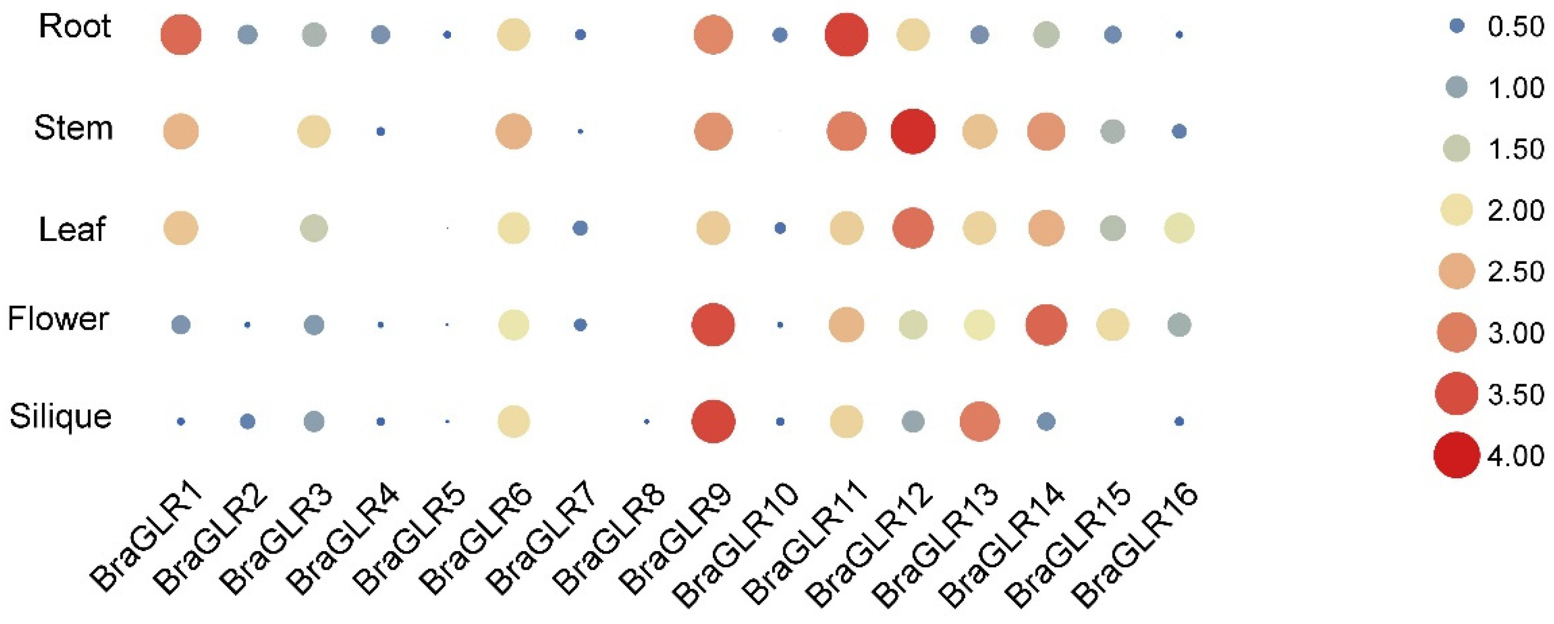 Cells 11 03729 g005 Cells 11 03729 g005
