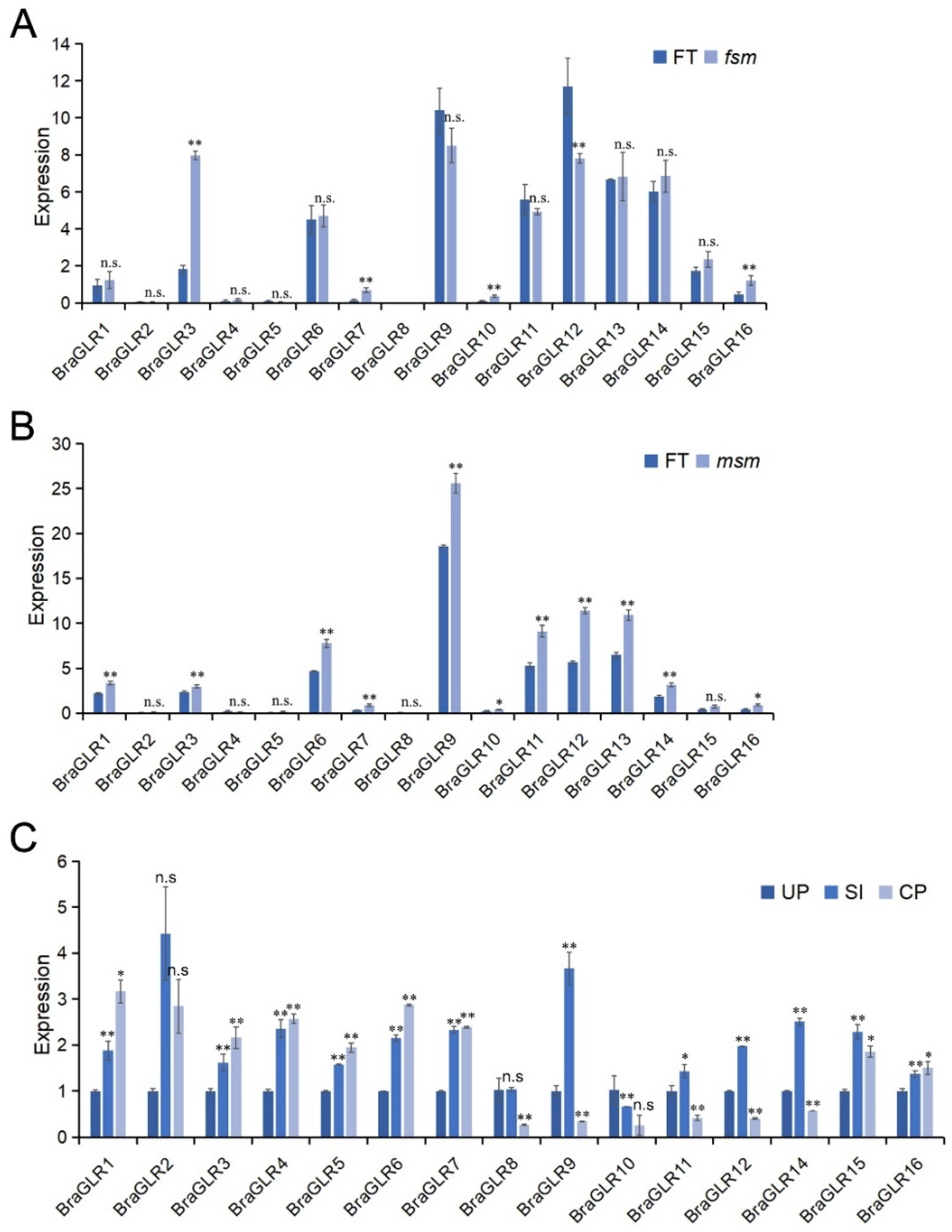 Cells 11 03729 g007 Cells 11 03729 g007