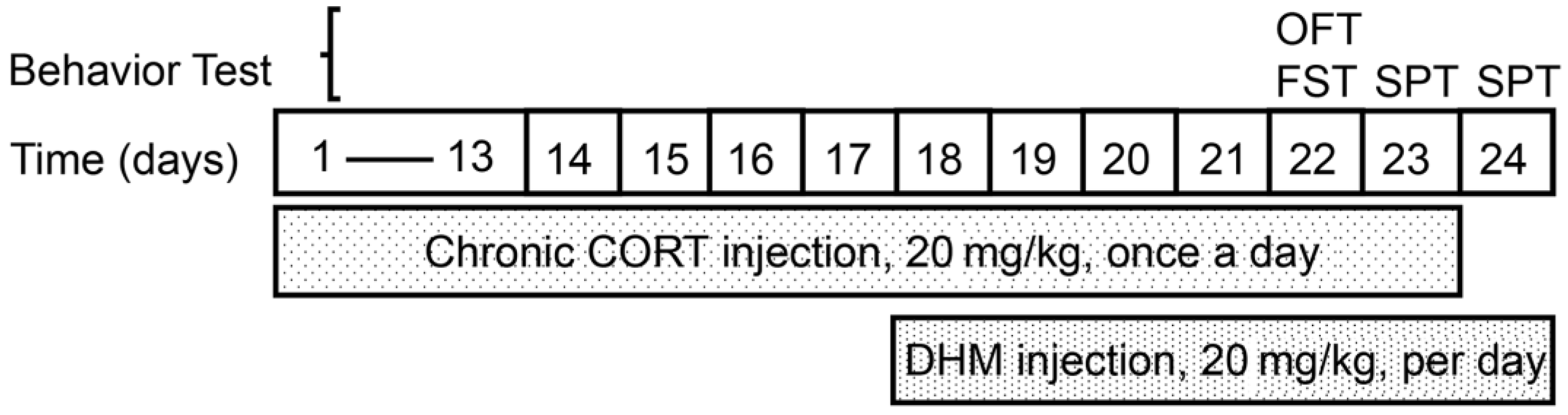 Cells 11 03730 g001 Cells 11 03730 g001