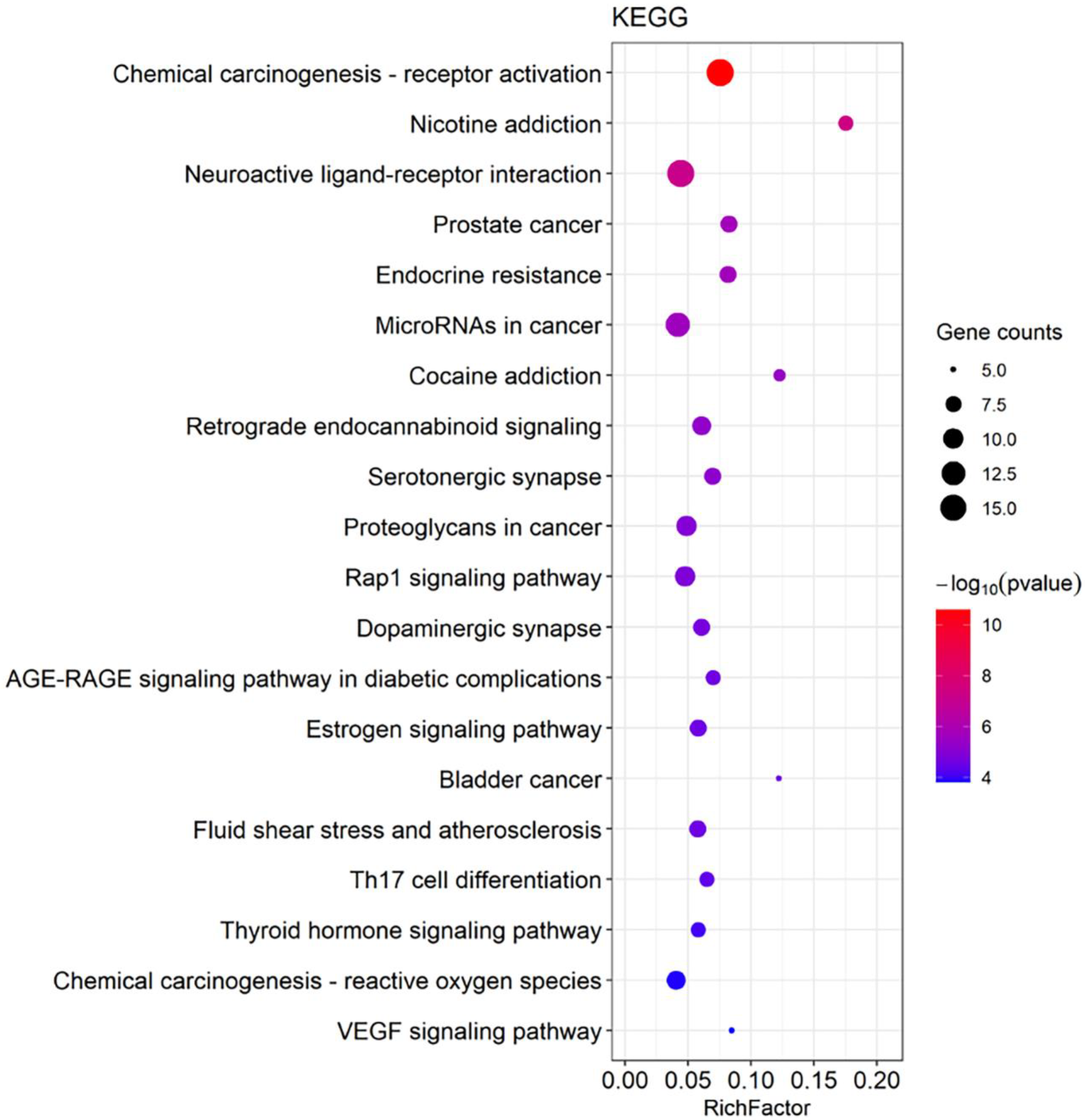 Cells 11 03730 g006 Cells 11 03730 g006