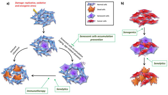 Molecular Mechanisms to Target Cellular ... Biology Diagrams