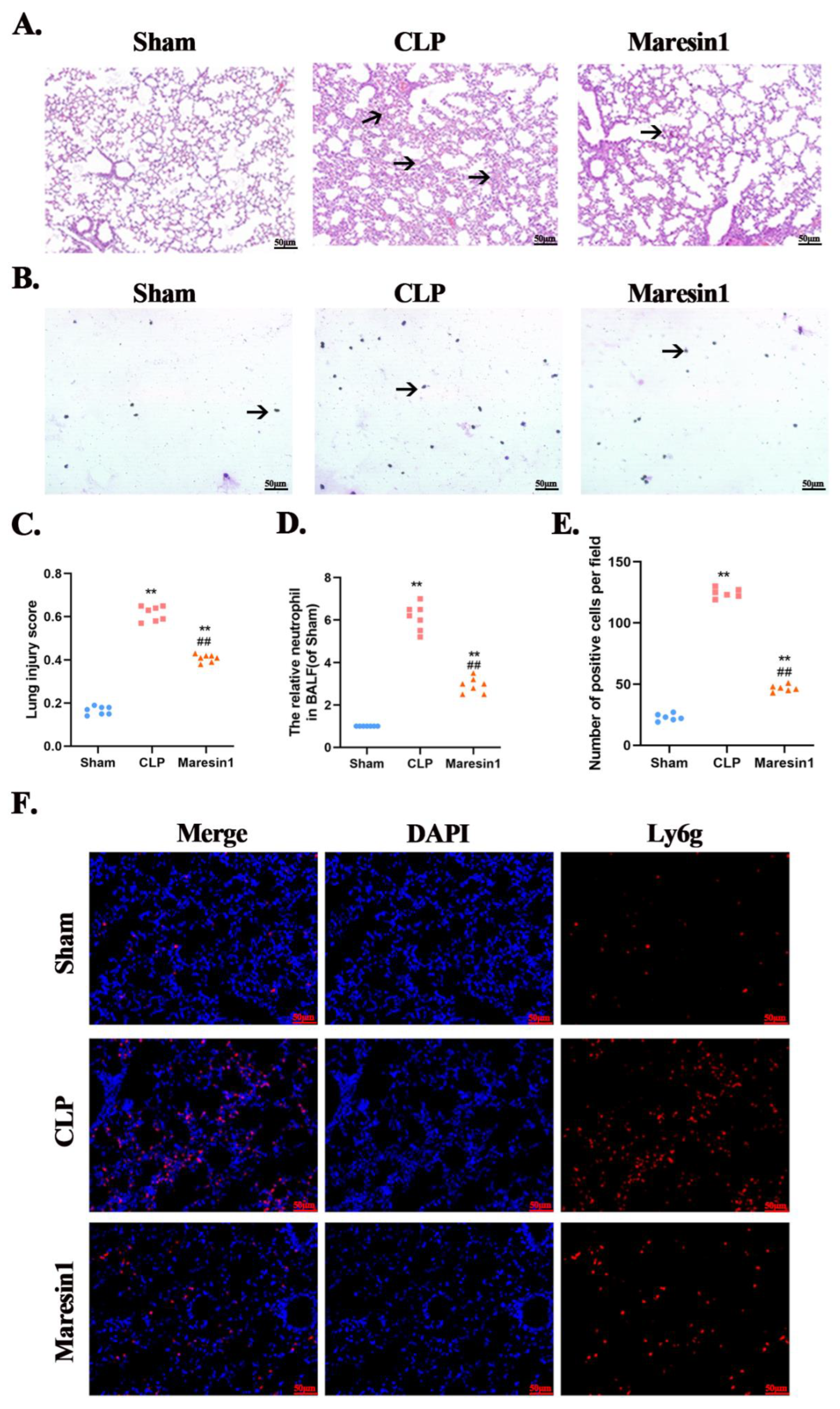 Cells 11 03733 g001 Cells 11 03733 g001
